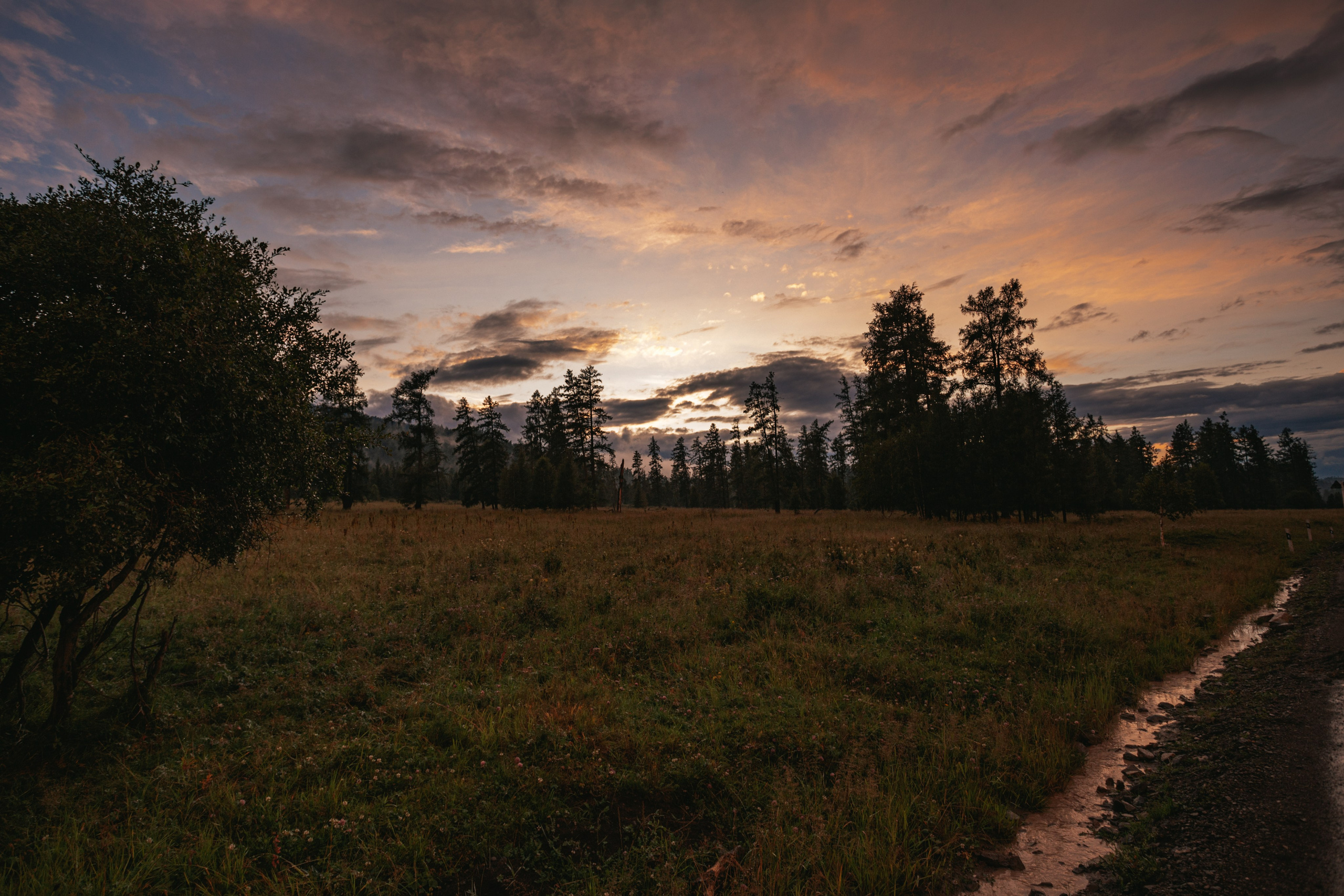 Катунский заповедник, Республика Алтай. Репортажный фотограф в Крыму Ксения Гасица