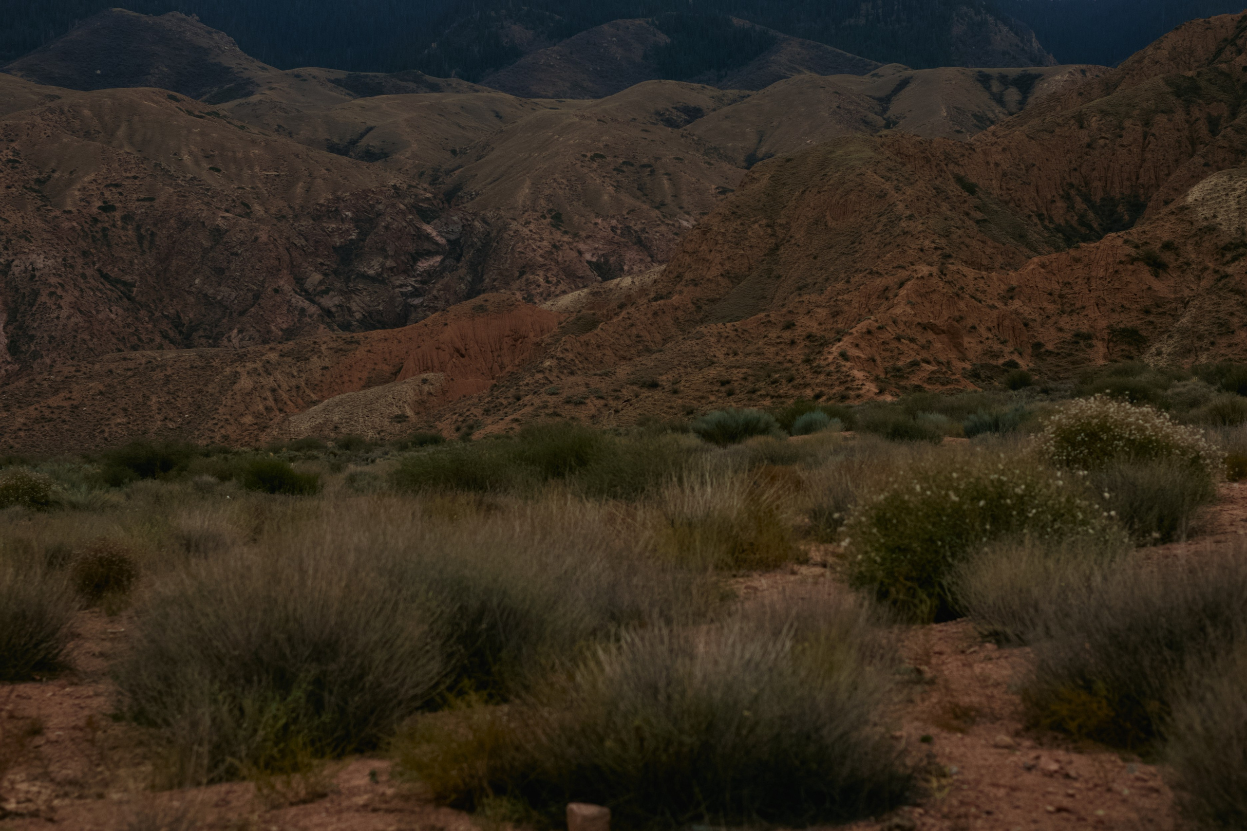 Кыргызтан. Профессиональный Фотограф во Владимире, в Москве и в Суздале — Полина Романычева