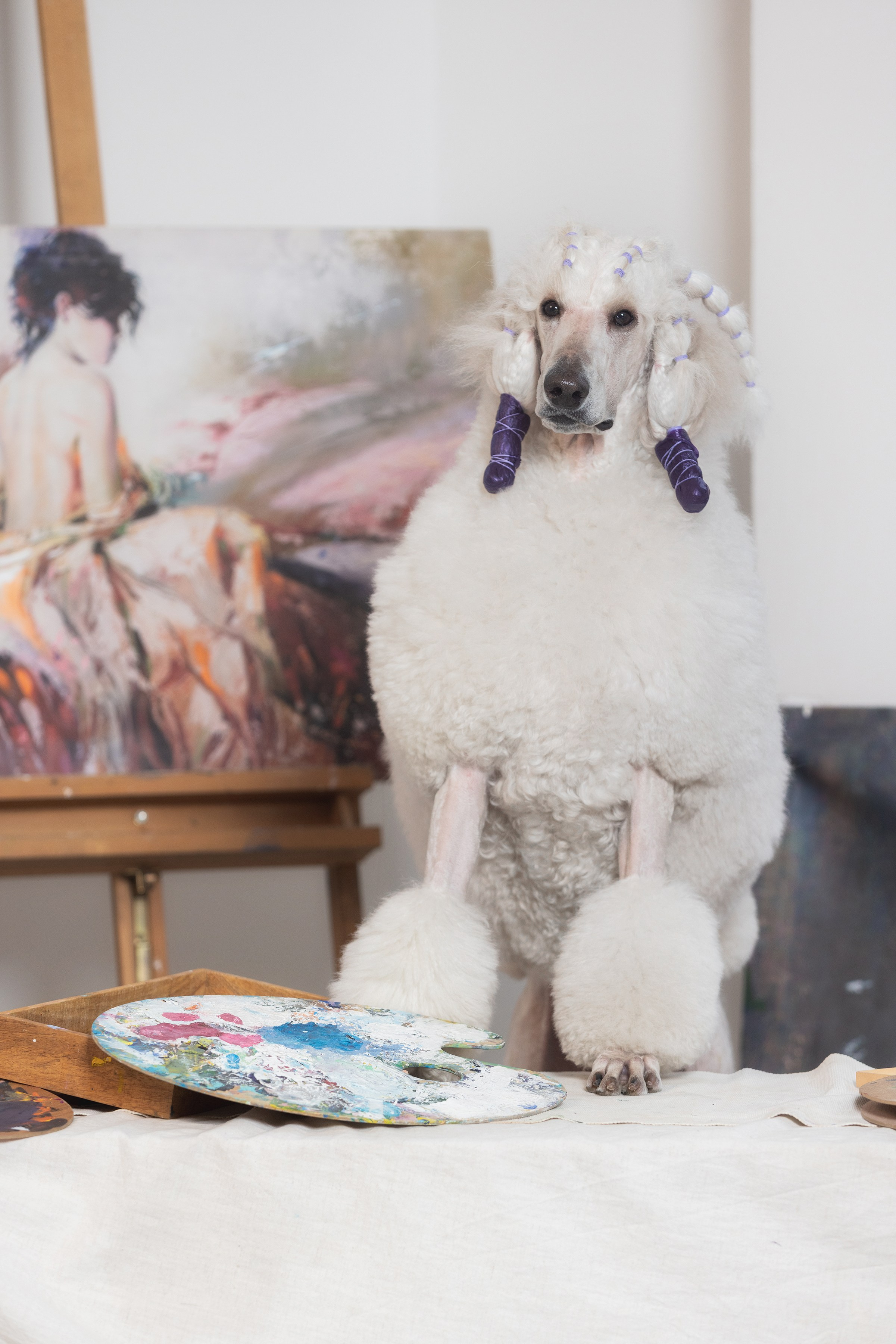 Собаки и не только. Фотограф Алена Звездина