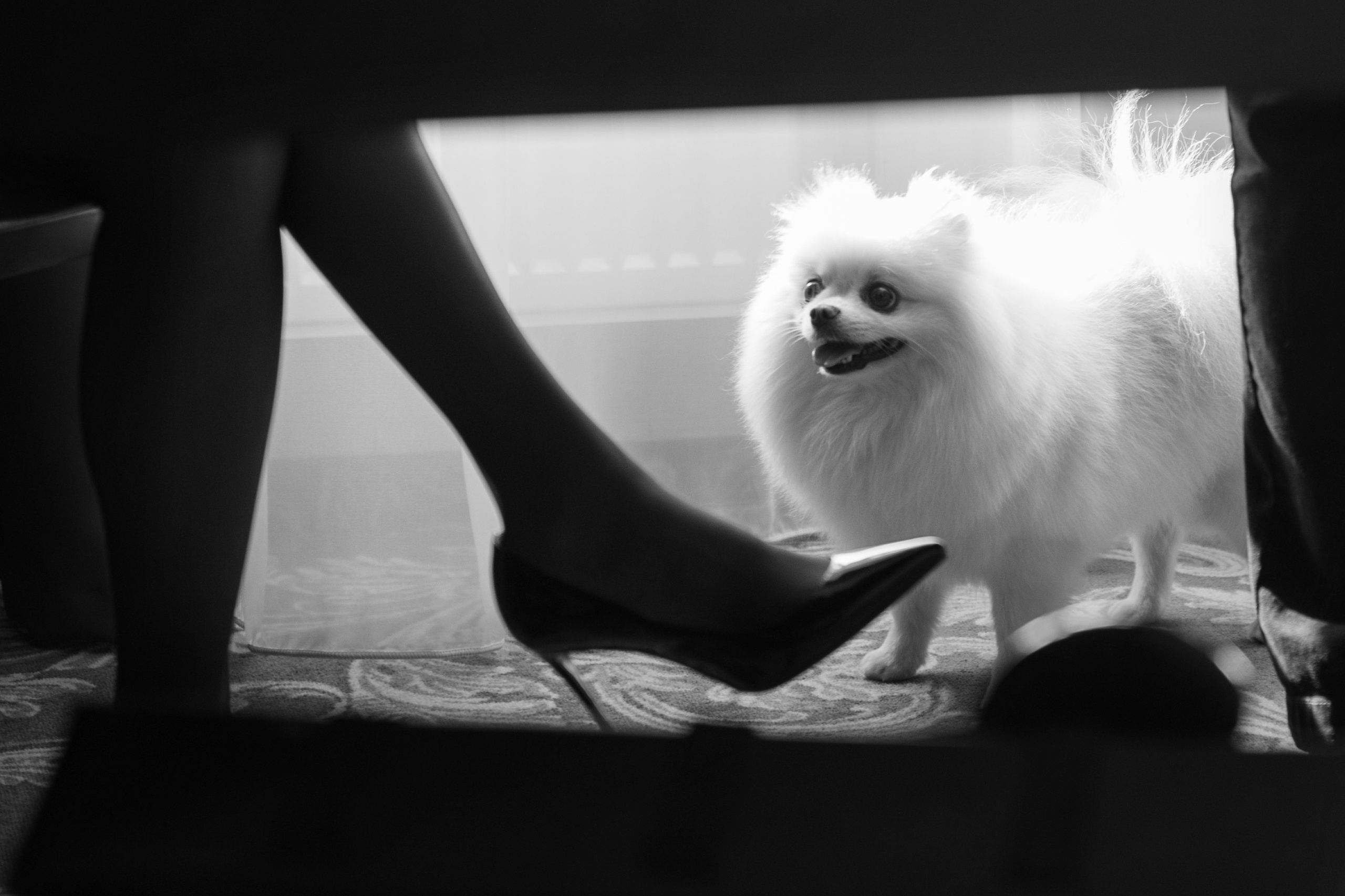 Алина и Павел. Свадебный фотограф в России и заграницей — Ольга Каретникова