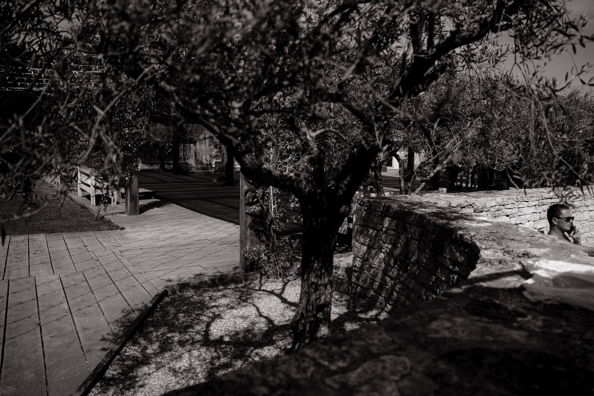 Anastasiya & Mathieu. Фотограф Томск, Новосибирск Влад Свириденко