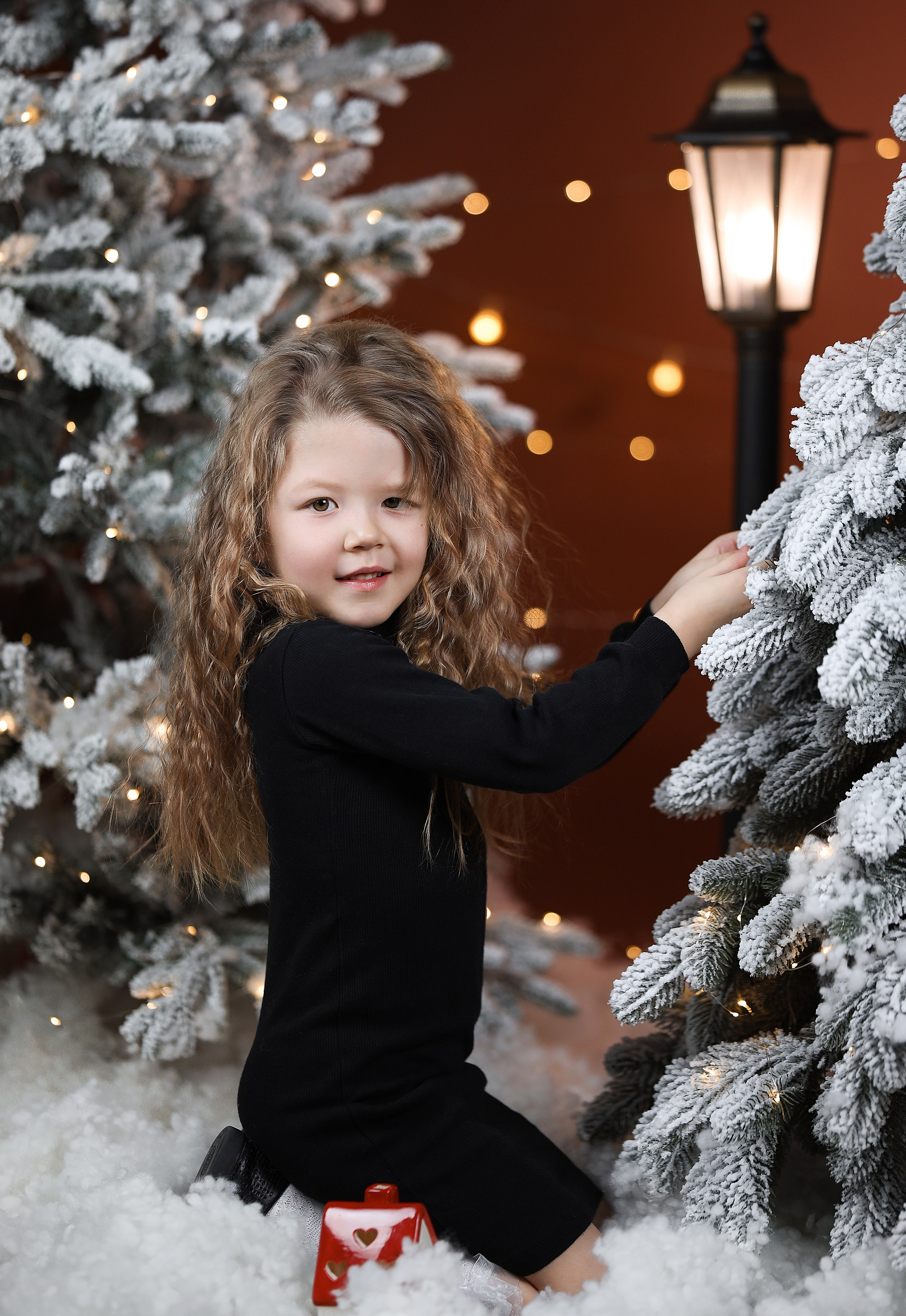 ФОТО ПРОЕКТ «НОВОГОДНИЙ». Школьный фотограф в Красноярске