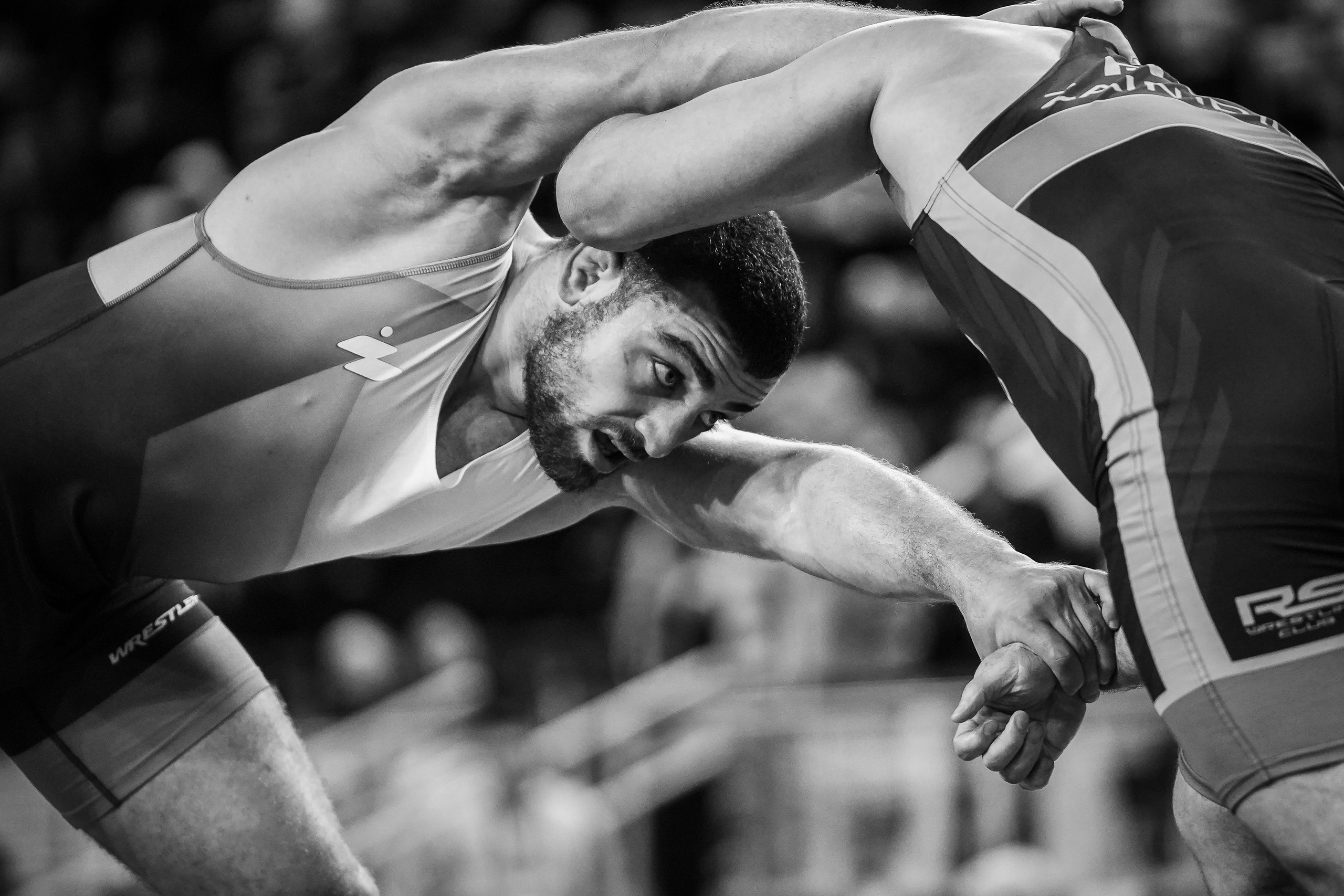 Кубок Ивана Ярыгина 2025 фотографии / ivan yarygin cup 2025 photos. Фотограф Анна Герман. Красноярск