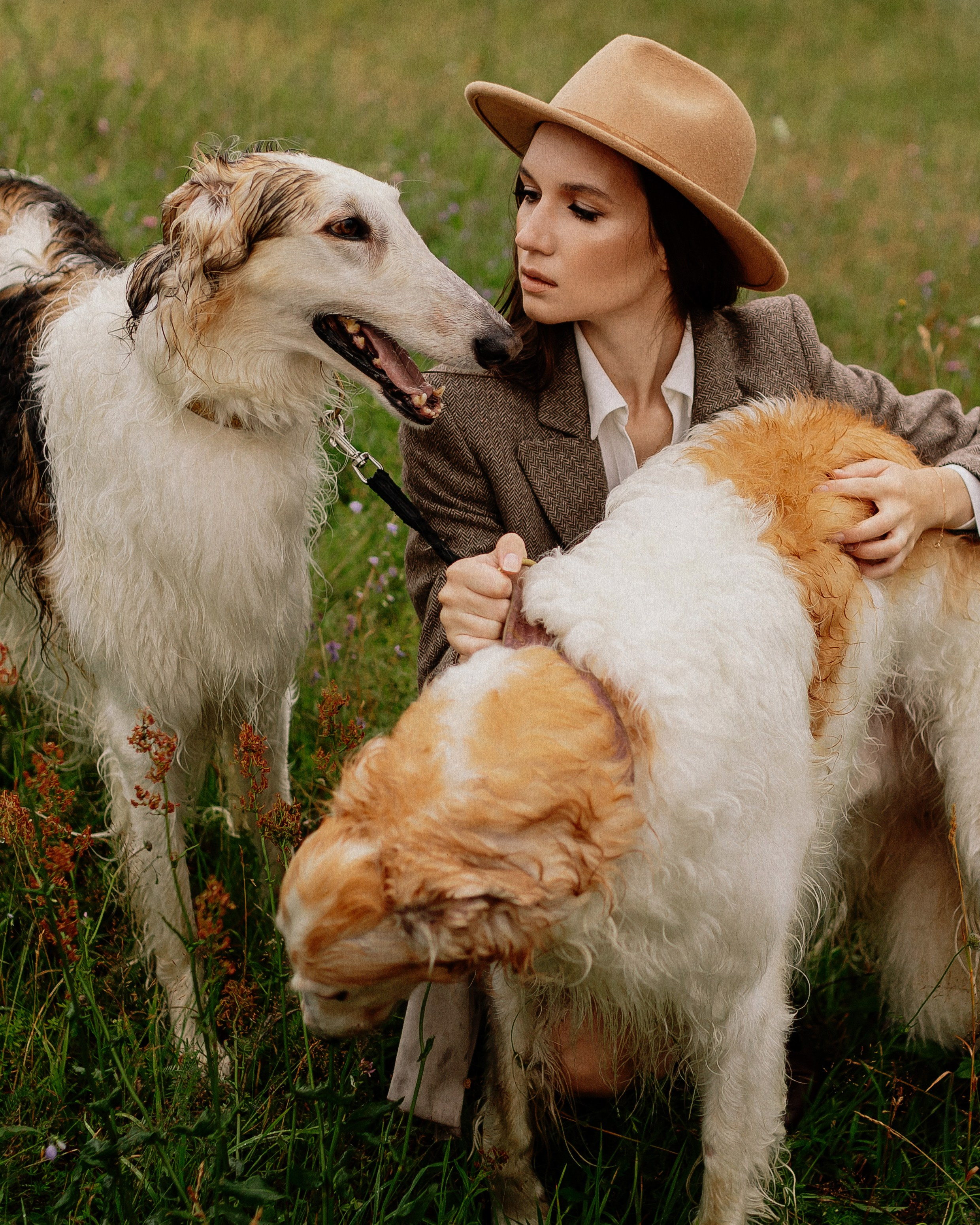Анфиса и Игорь. Николь — ваш любимый фотограф в Санкт-Петербурге