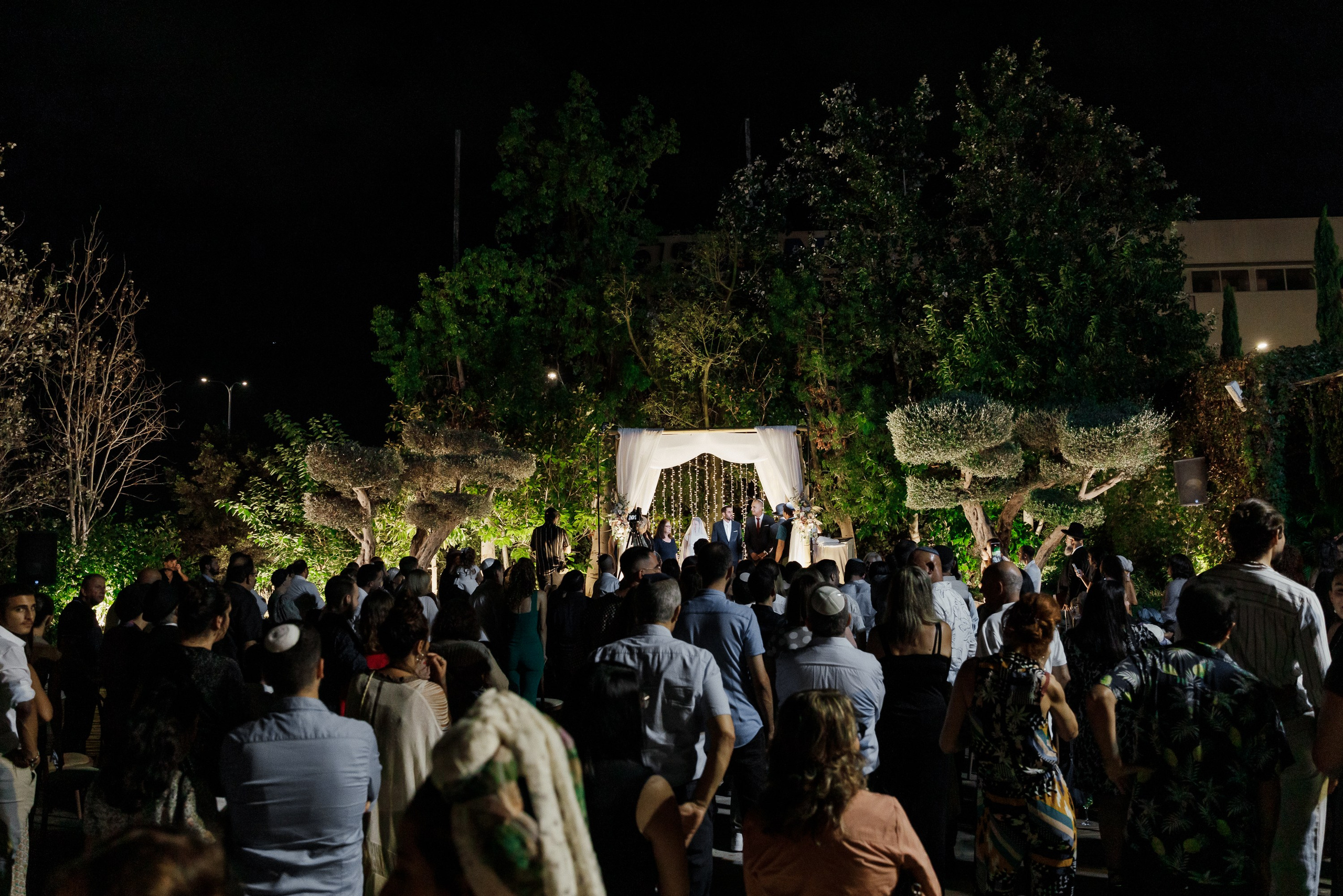 Weddings. Photographer Michael Alekseev
