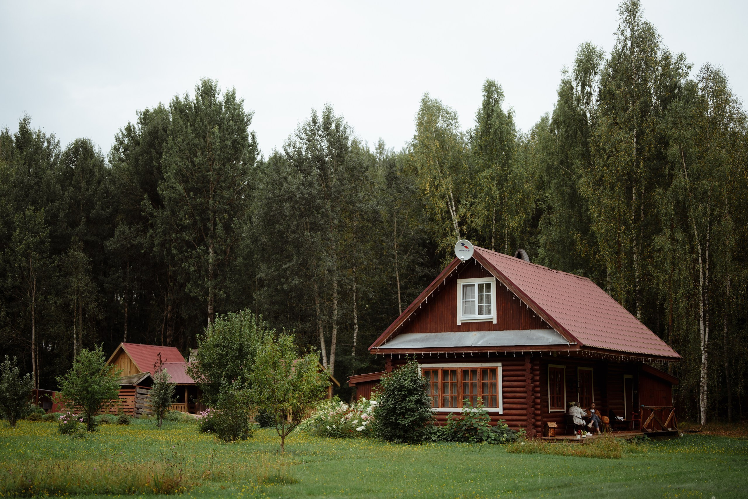 Сюжет № 11|Виктория Алексеенко