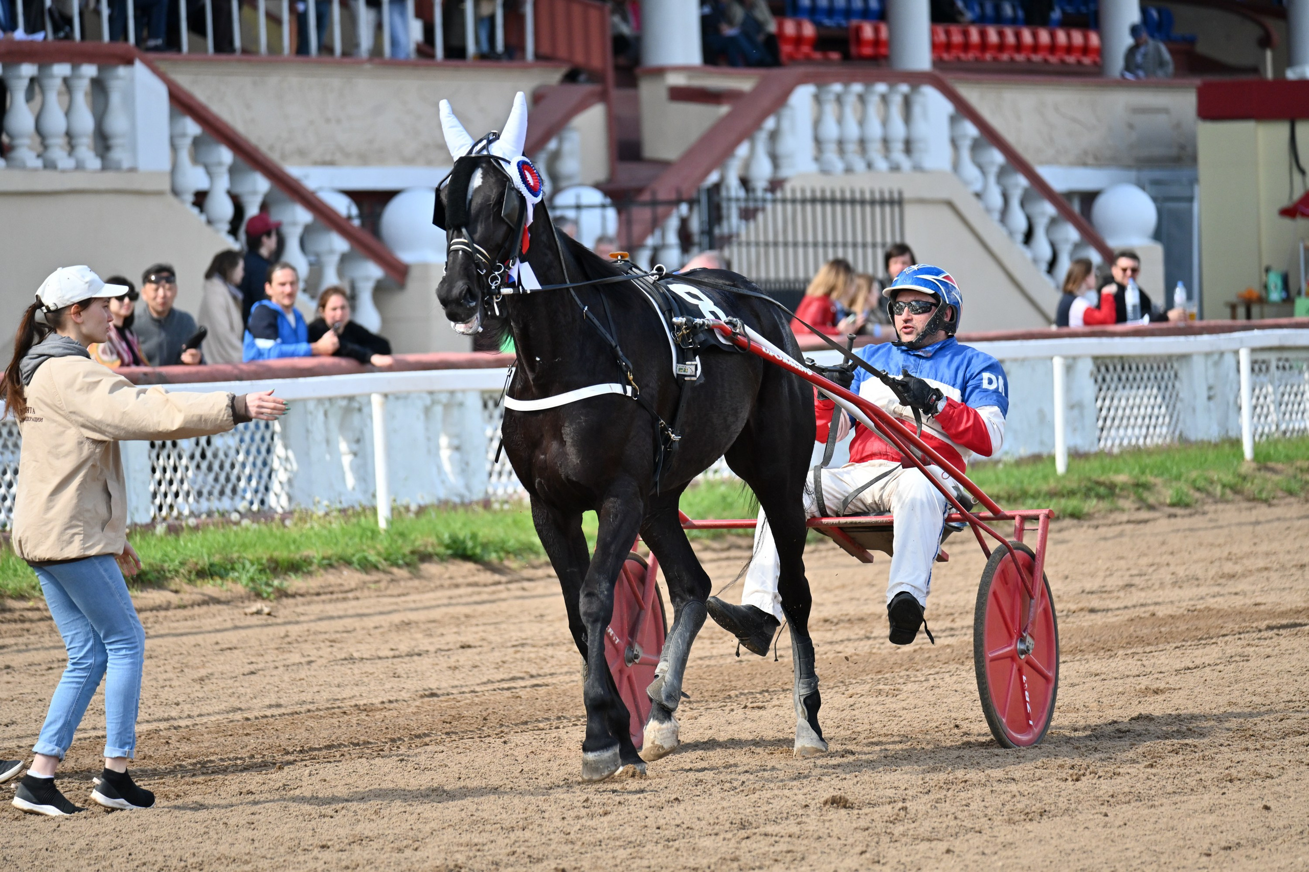 Московский ипподром. Fotolux