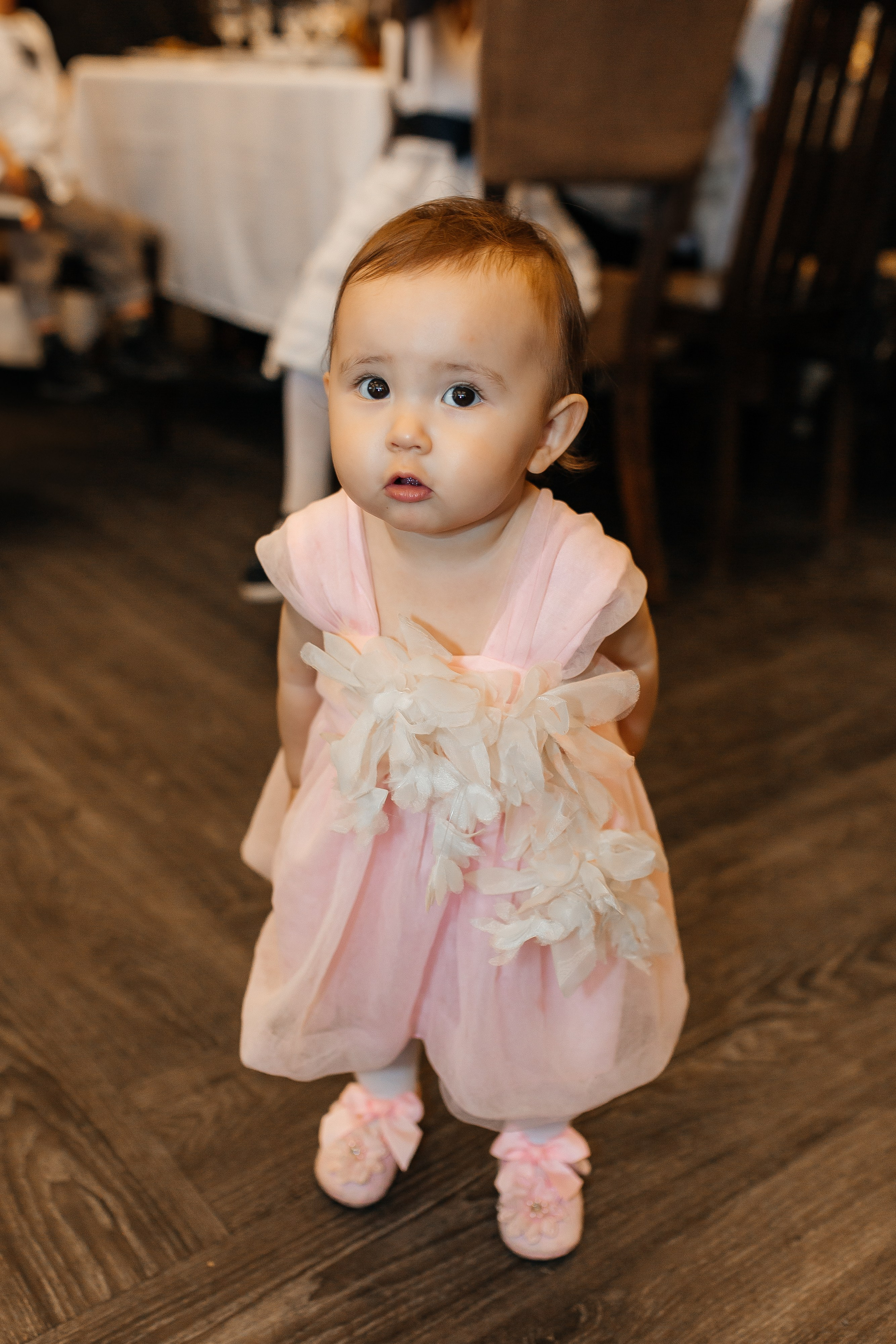 Сакуре 1 годик