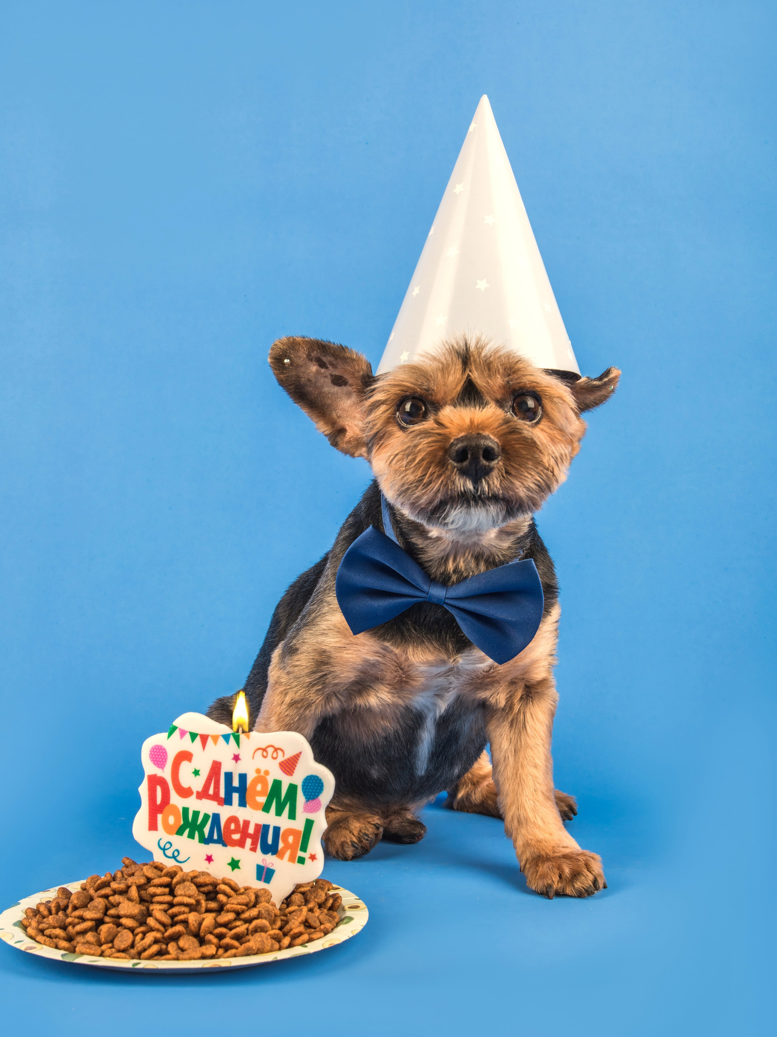 Серии. Предметный и семейный фотограф в Санкт-Петербурге Катерина Стеклова