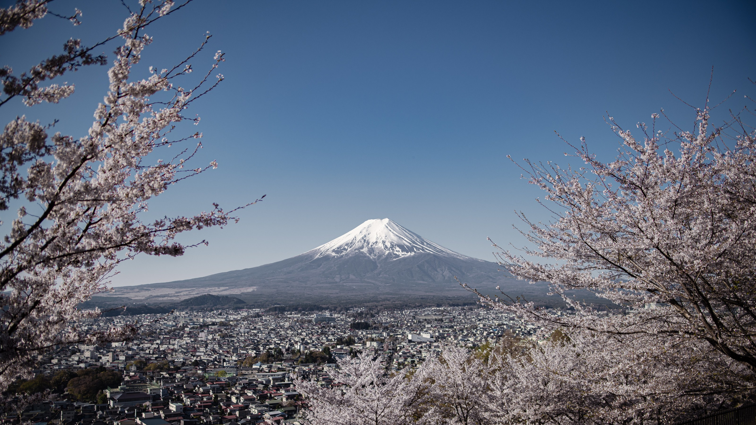 Japan. Photographer in Tokyo Anatolii Ozarto