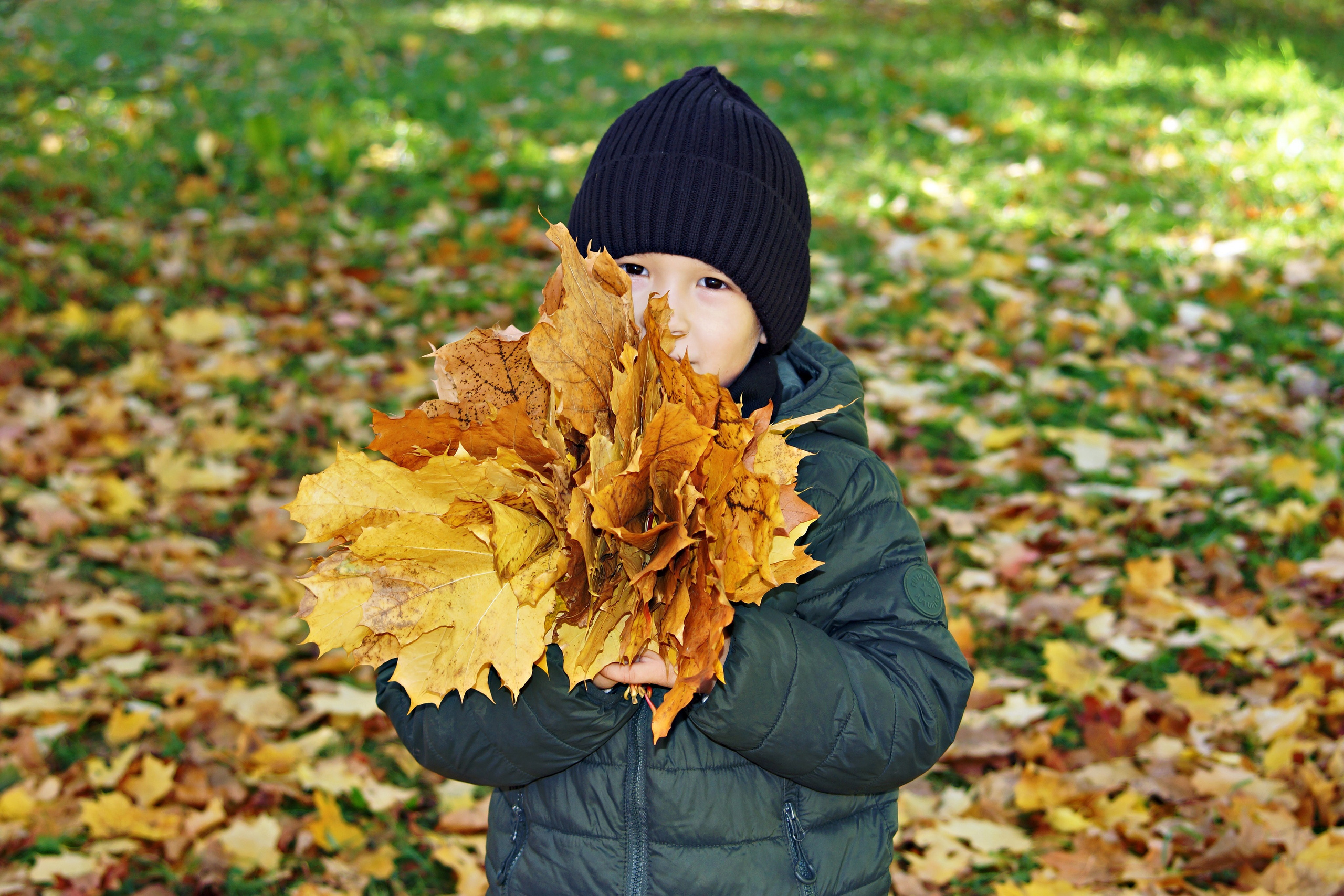 Осенняя фотосессия в детском саду г. Йошкар-Ола