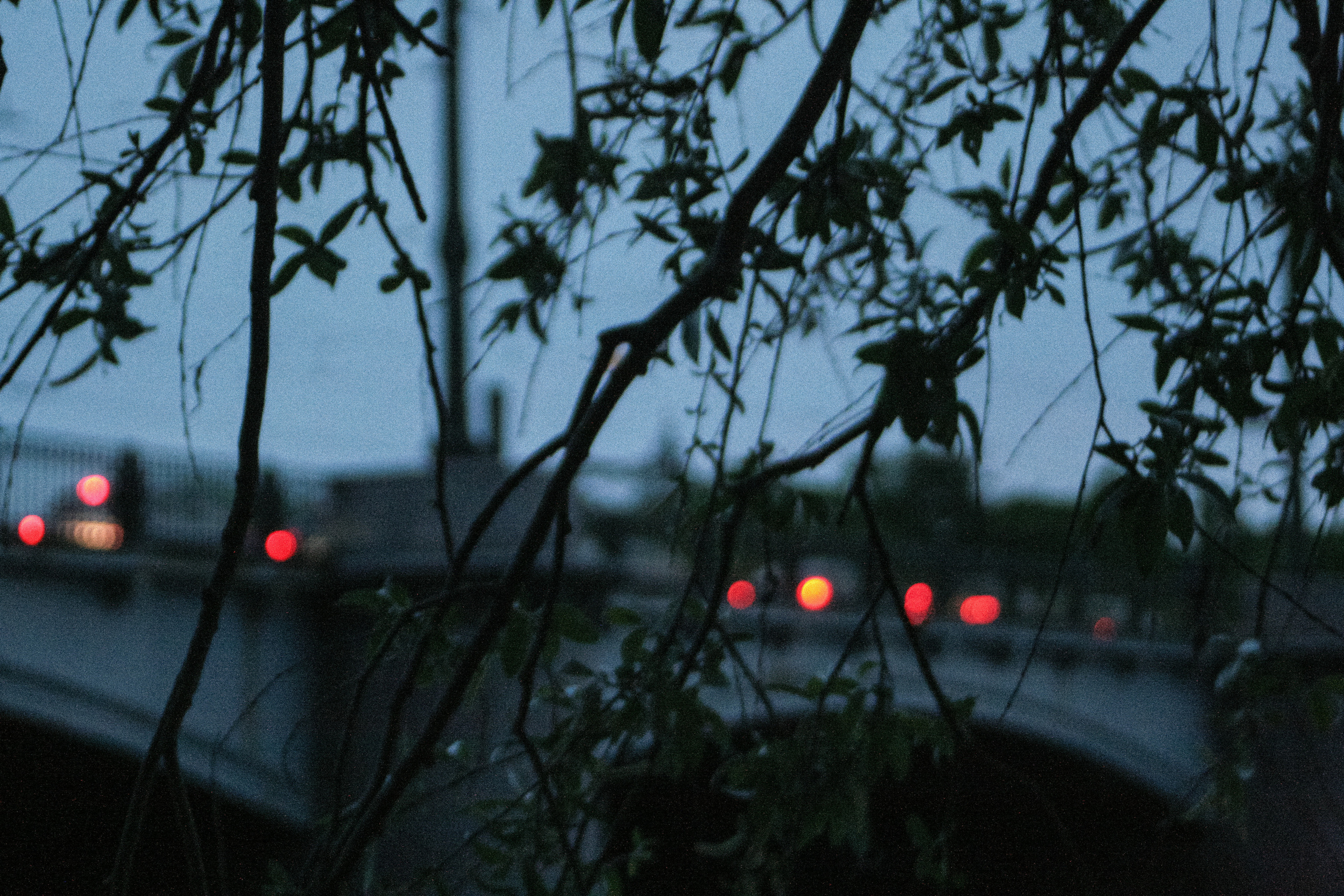 Люди/Мероприятия. DIESPERADOSS photo