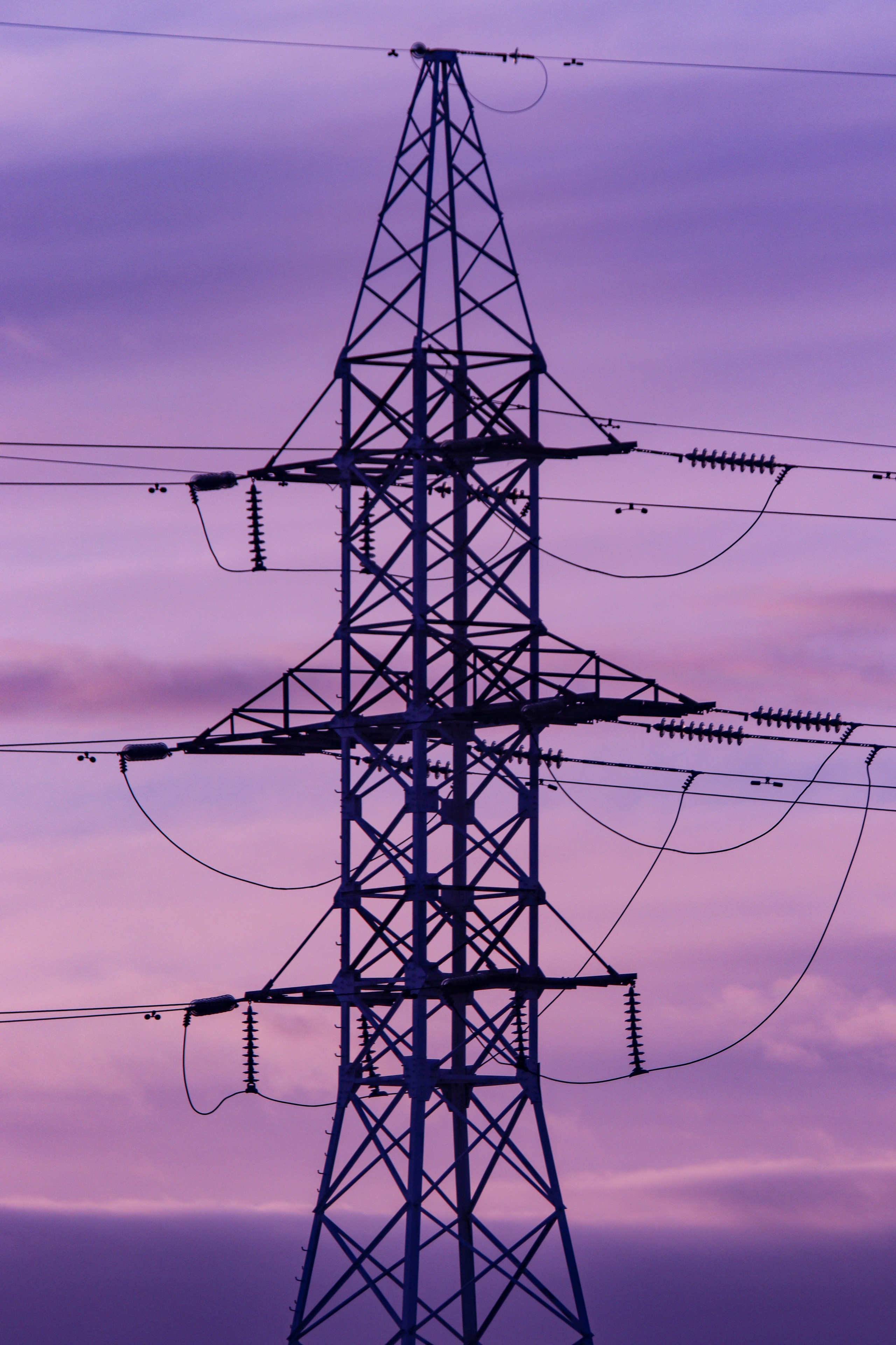 Ф И О Л Е Т О В А Я — Э С Т Е Т И К А