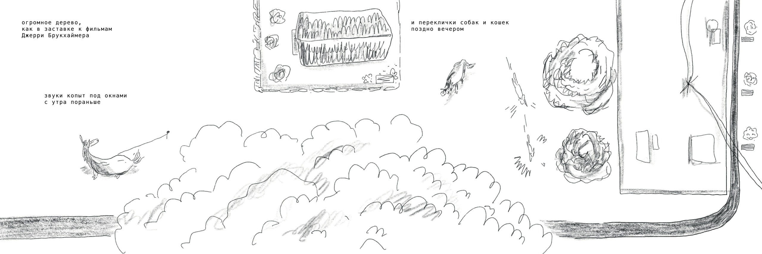 Фотокомикс «Брянск». Мультидисциплинарная художница