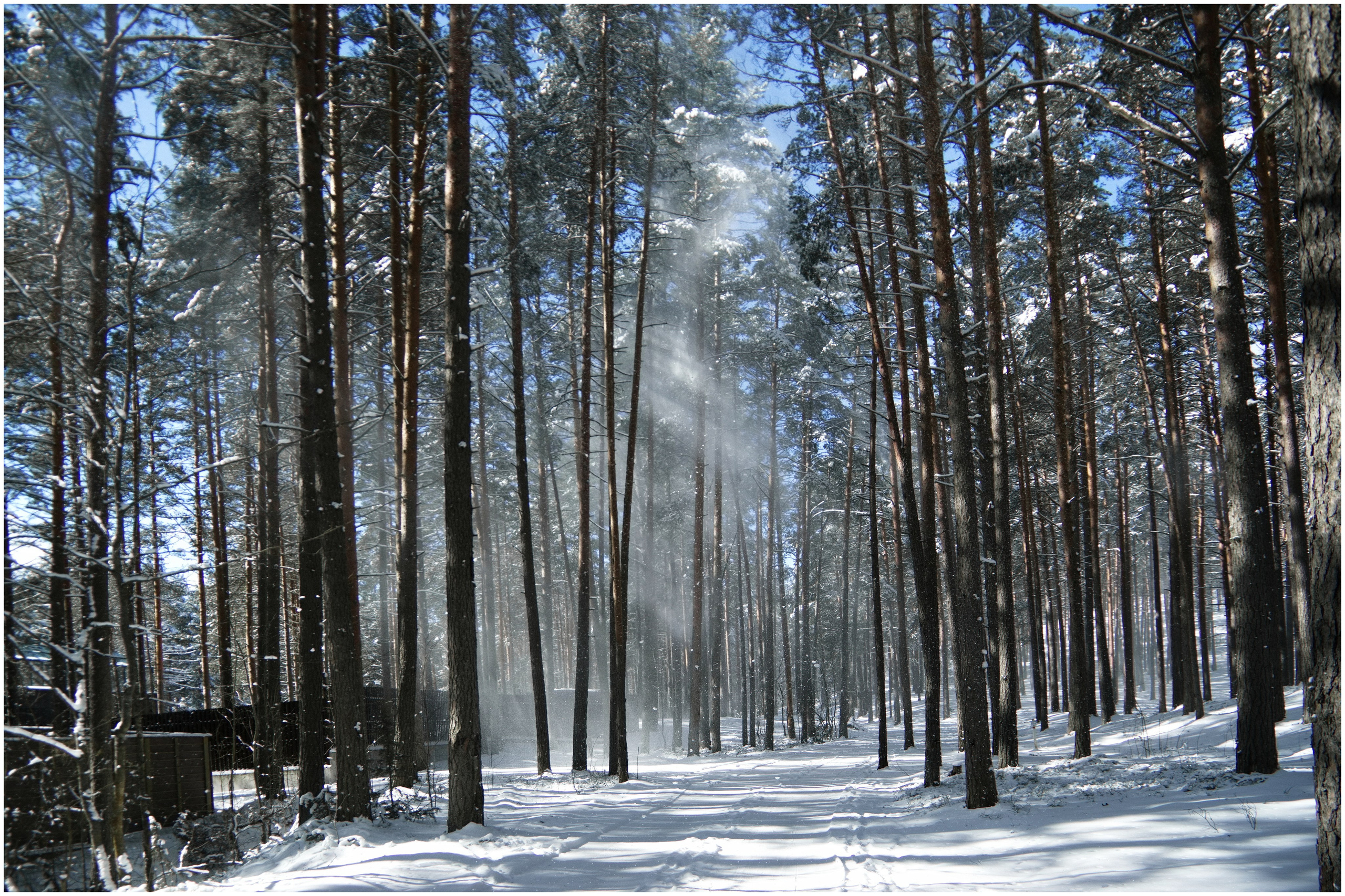 Пейзаж. Вадим Шейдин