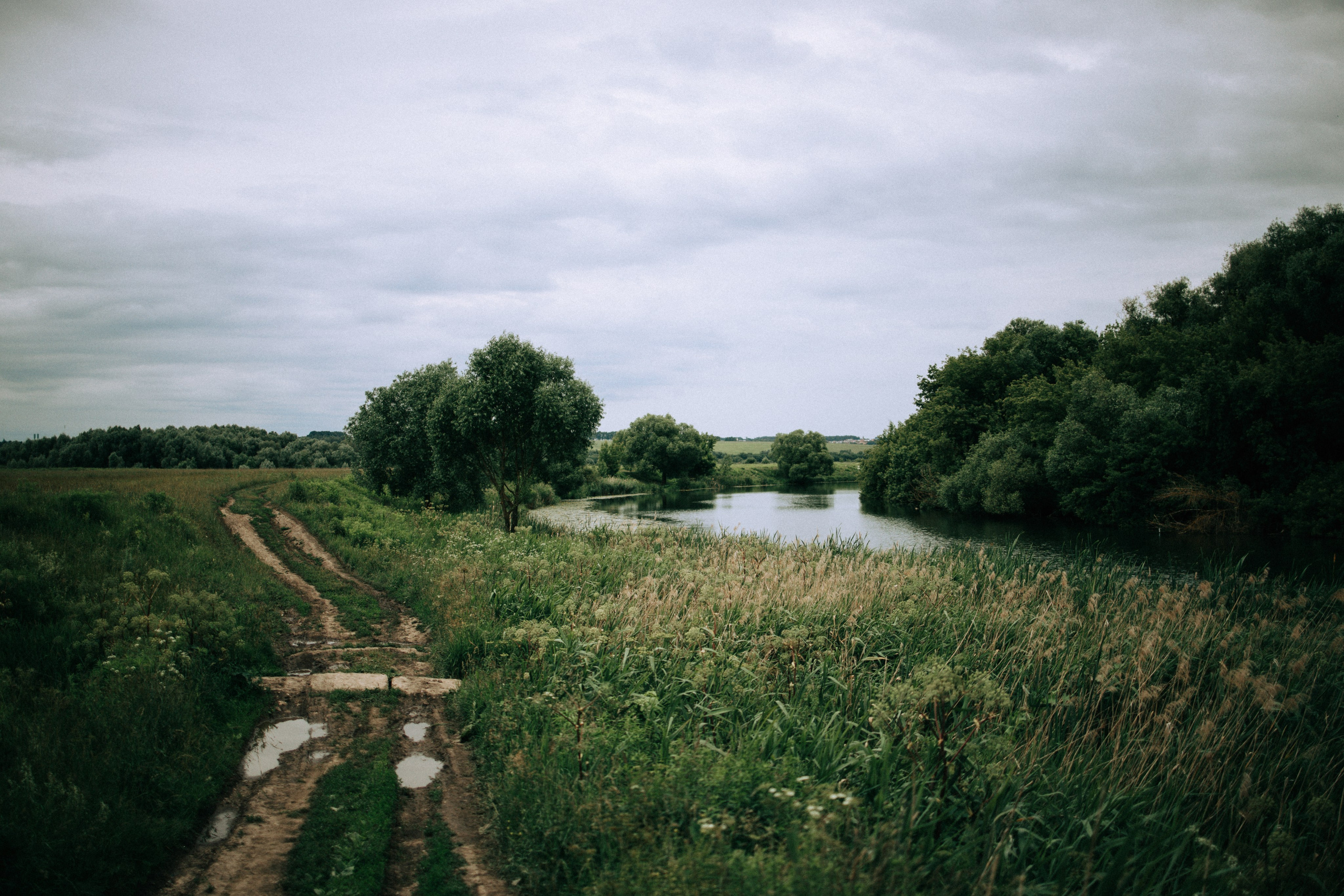 Прогулка по Криволучью. Свадебный и семейный фотограф в Туле и области Маша Костина