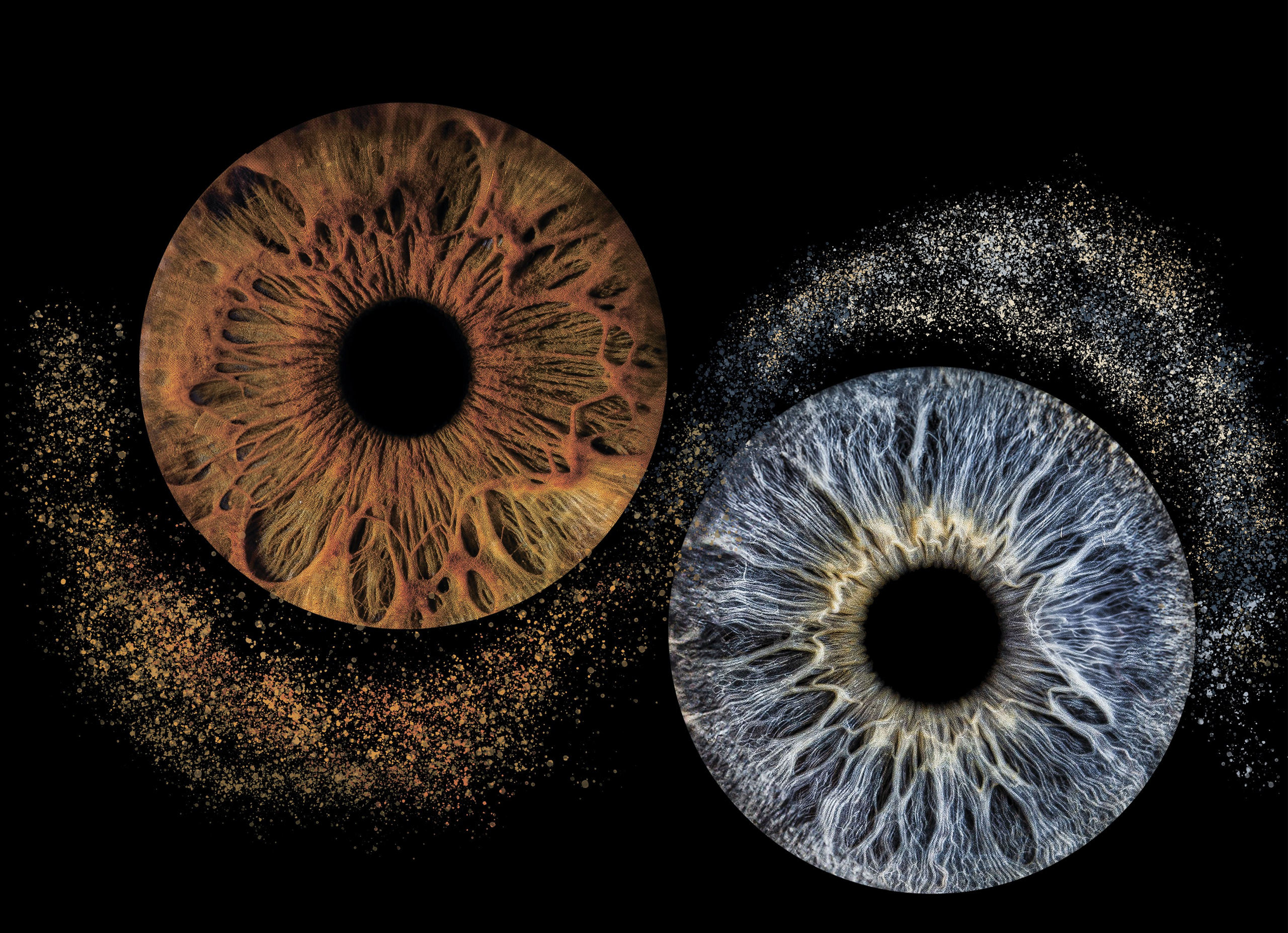 Эффекты. Макро Фото радужки глаза в Зеленоградске