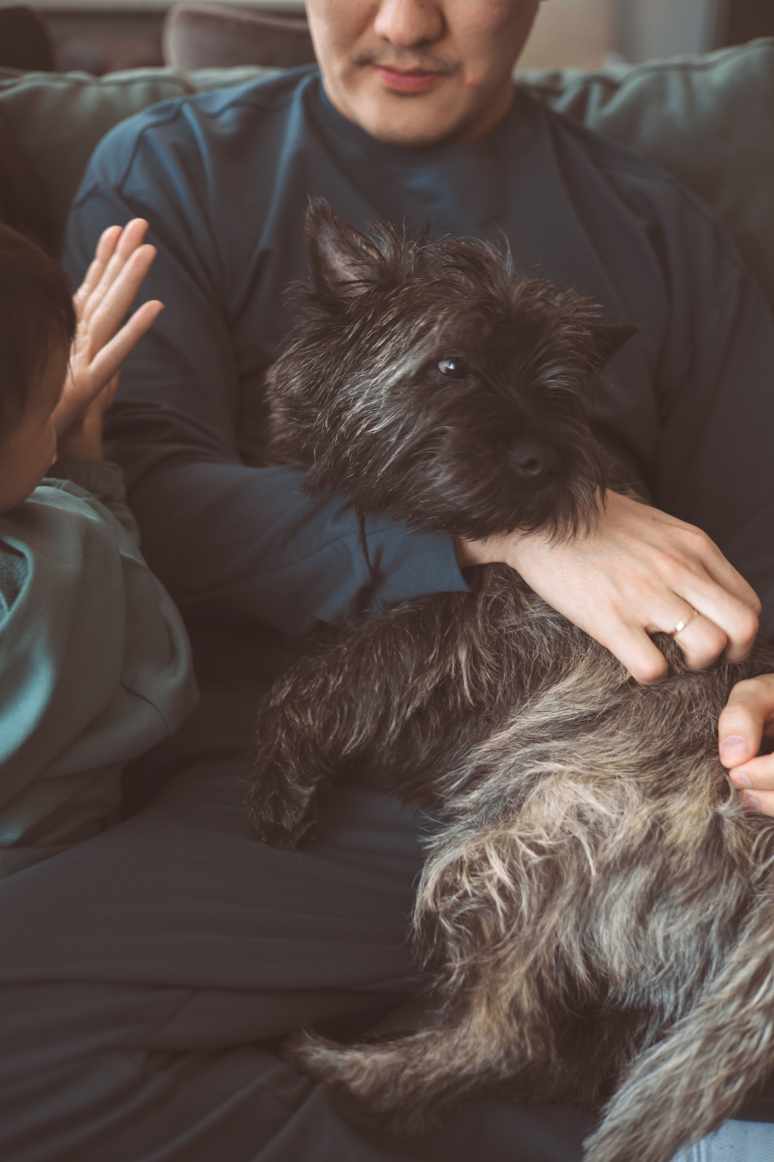 Домашняя съемка