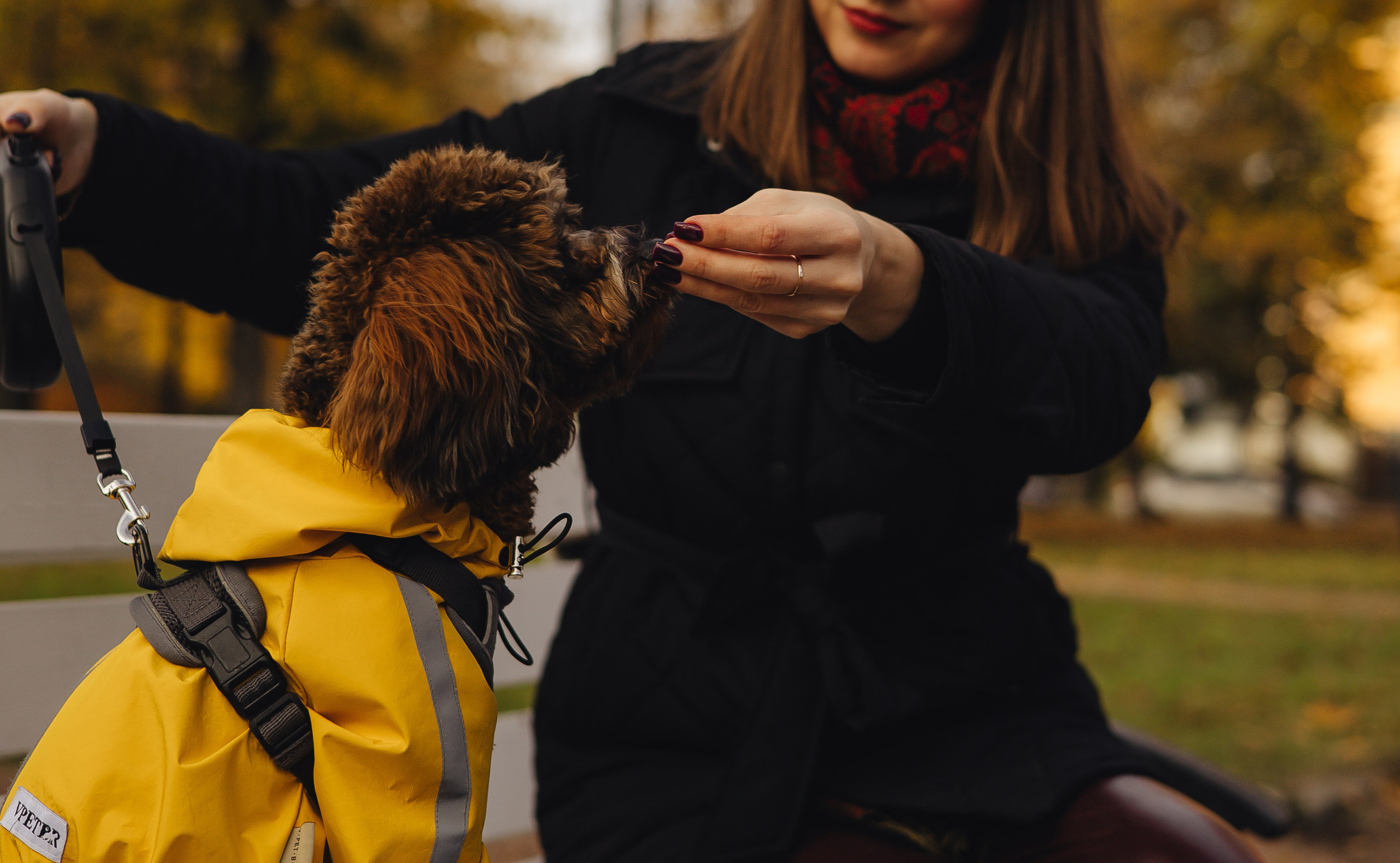 Летающая Мерси