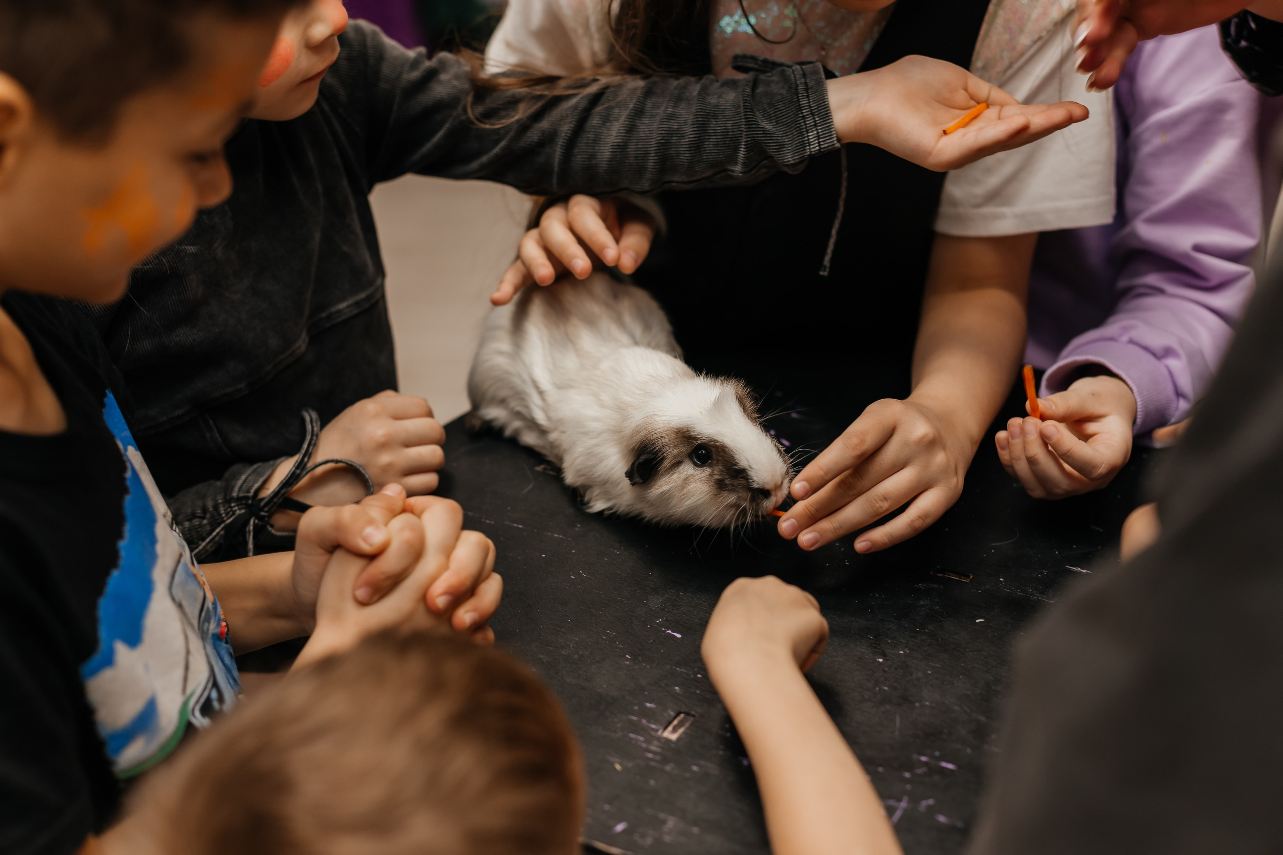 День рождение Амалии. Марина Шаймухаметова. Фотограф в Уфе