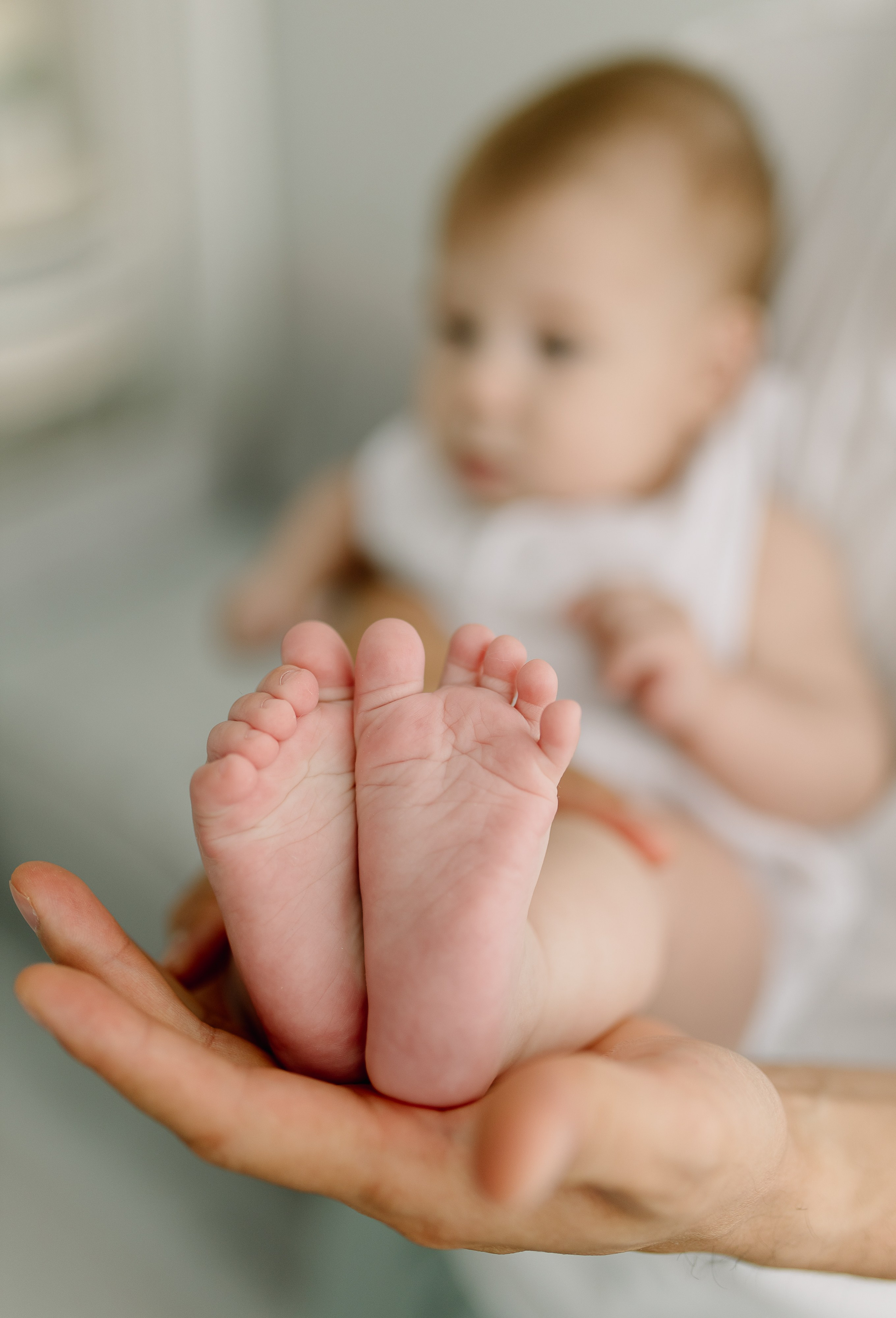 Домашняя история. Meryfotoidea