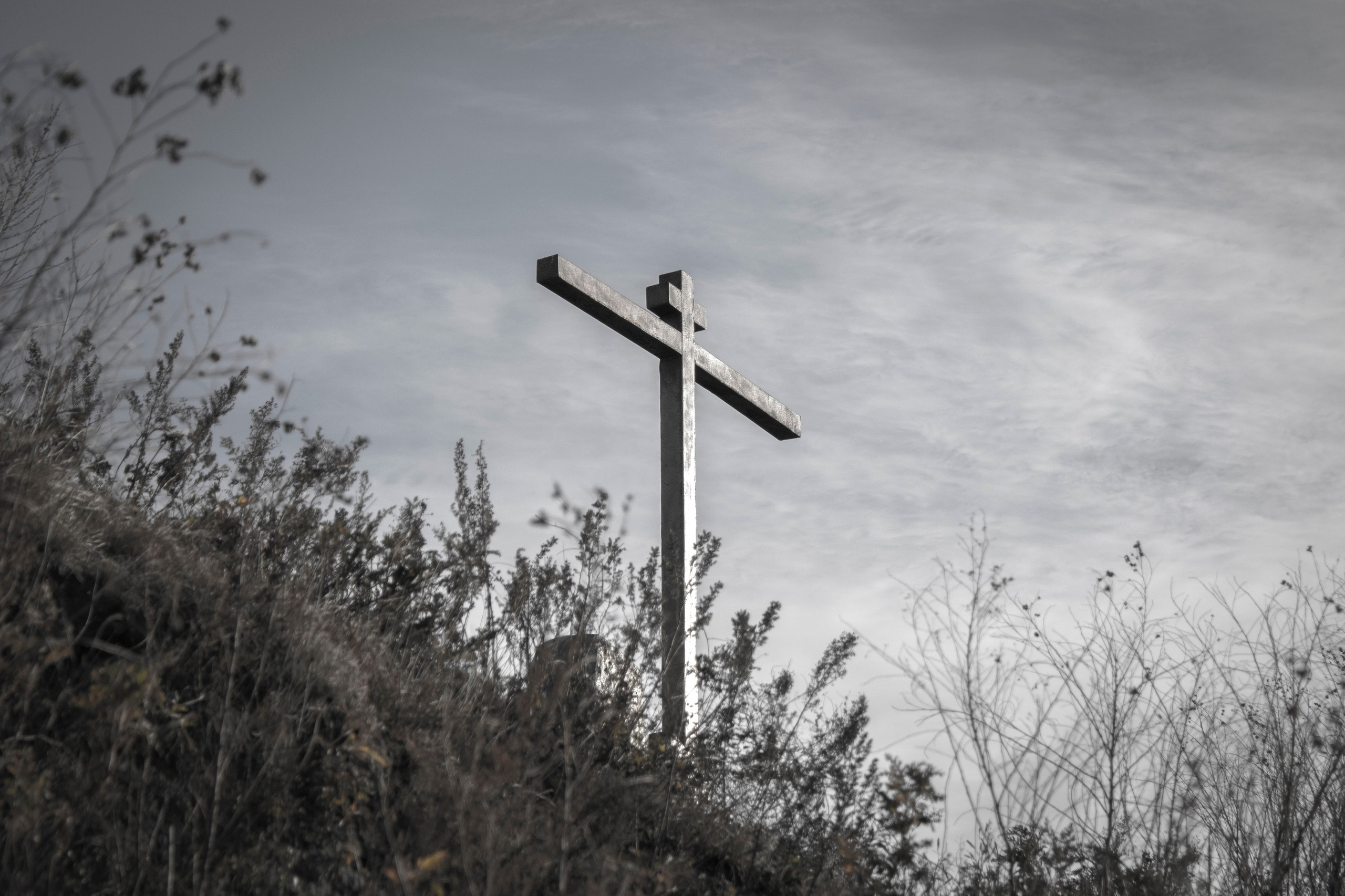 Монохром. Фотограф г. Владивосток