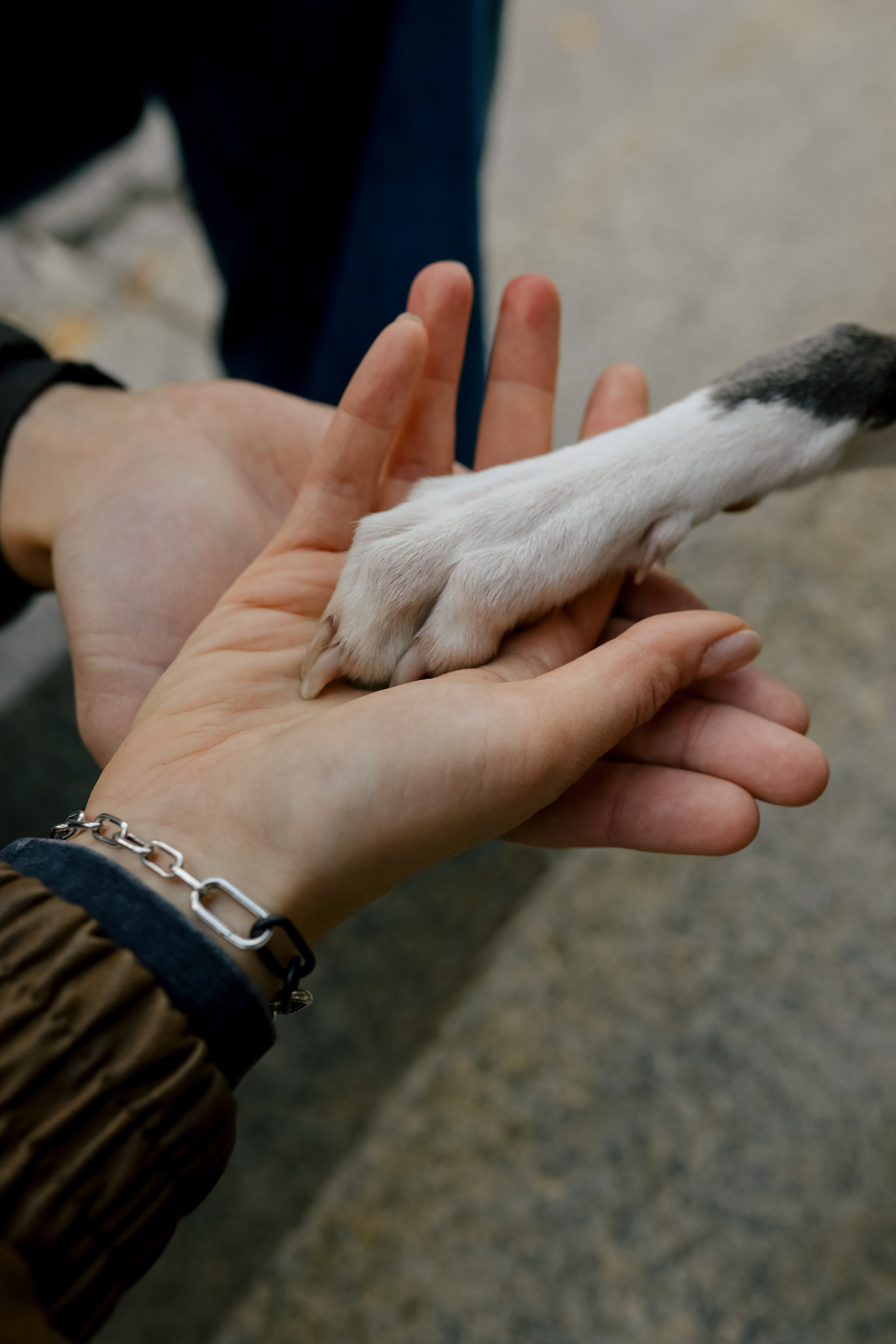 Первая осень Йотуна. Свадебный и семейный фотограф в Варшаве