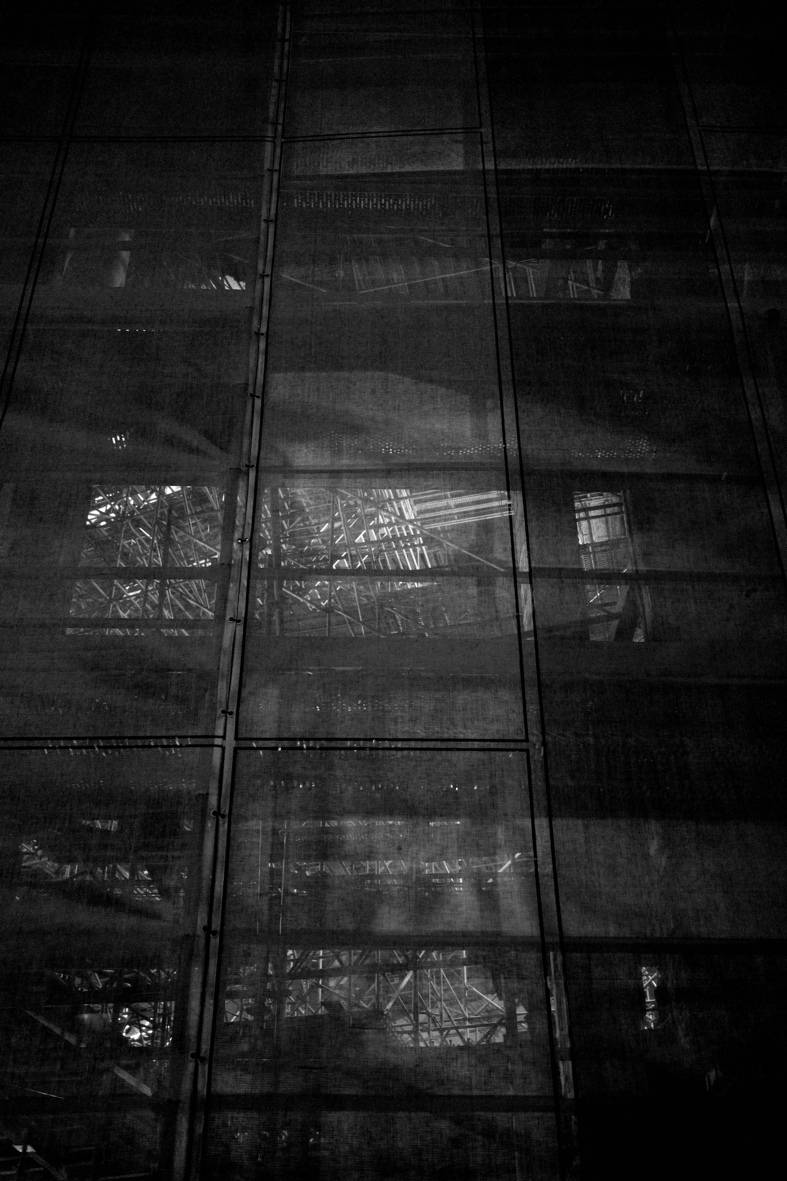 Черно-белое. Миша Печёнкин | фотография