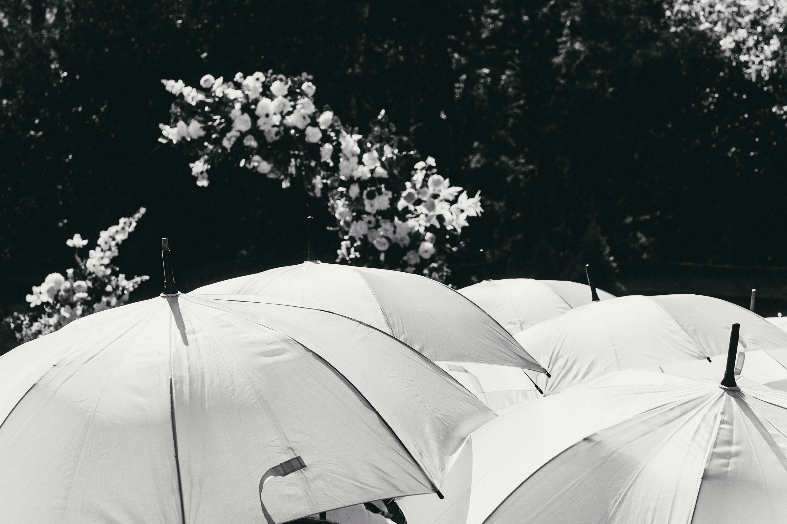 Степа_Вика. Свадебный и семейный фотограф Барнаул Рубцовск Бийск Алтайский край