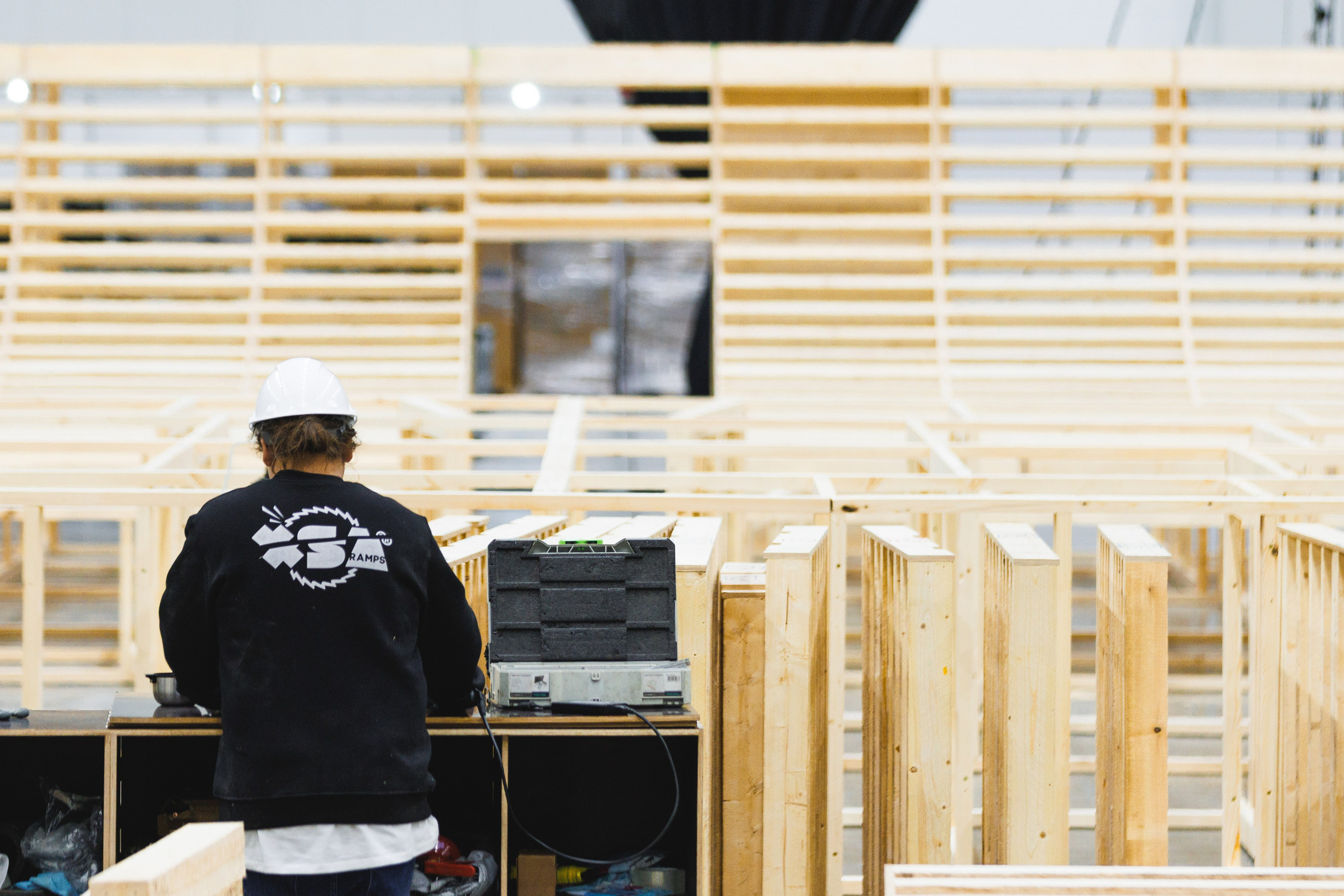 Random photo roulette. Bivol images