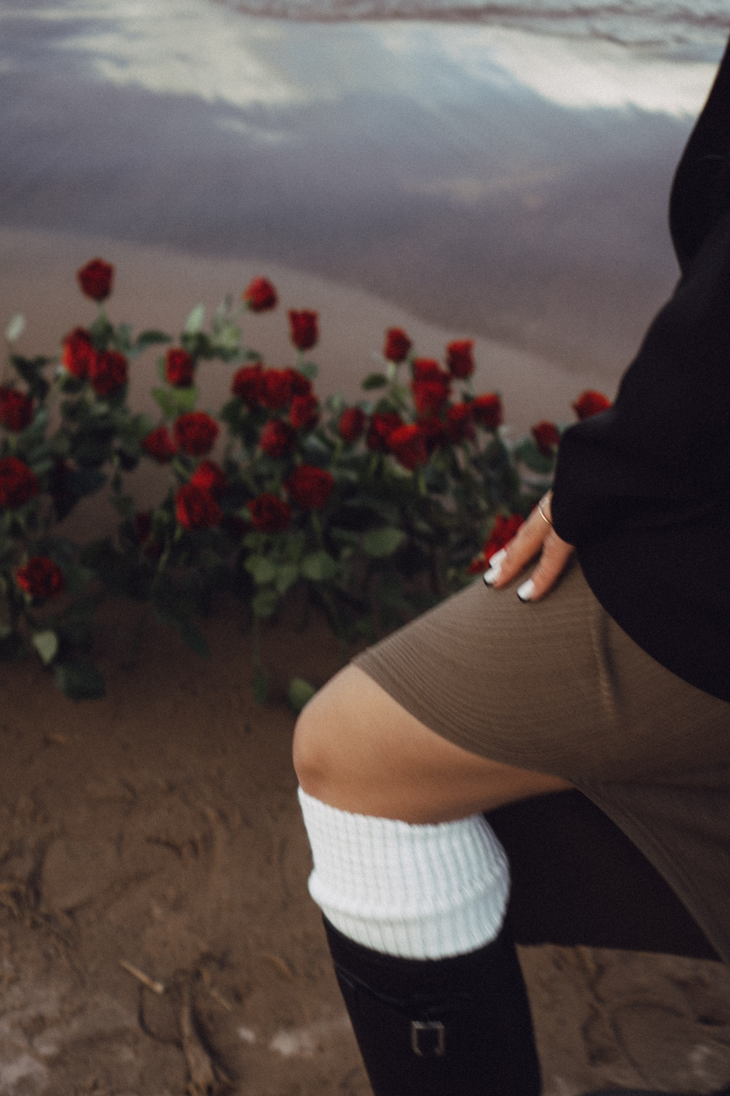 Розы. Профессиональный фотограф, Санкт-Петербург — Виктория Богомолова