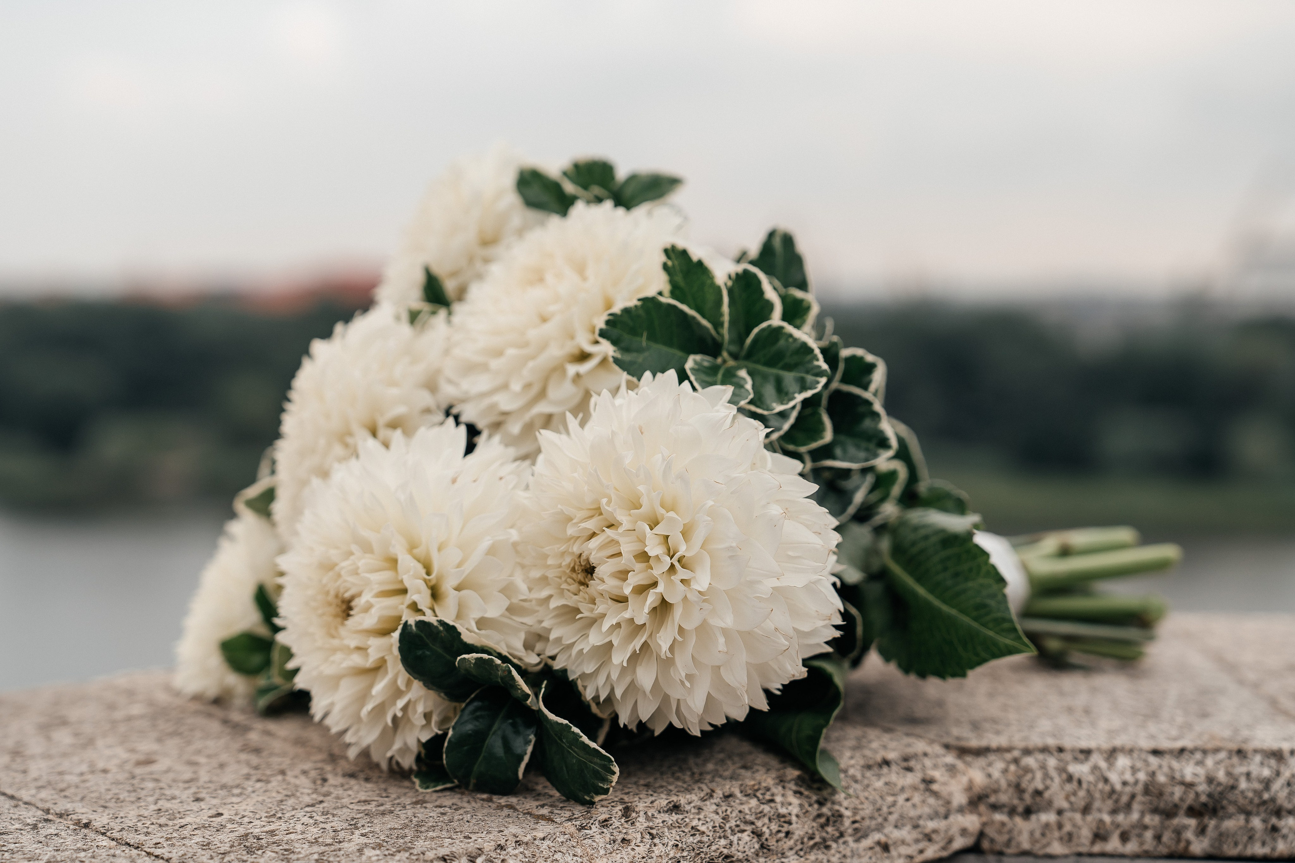 Роман & Вероника. Lokos.pro Ник Соколов Фото и Видео Москва/Ростов-на-Дону