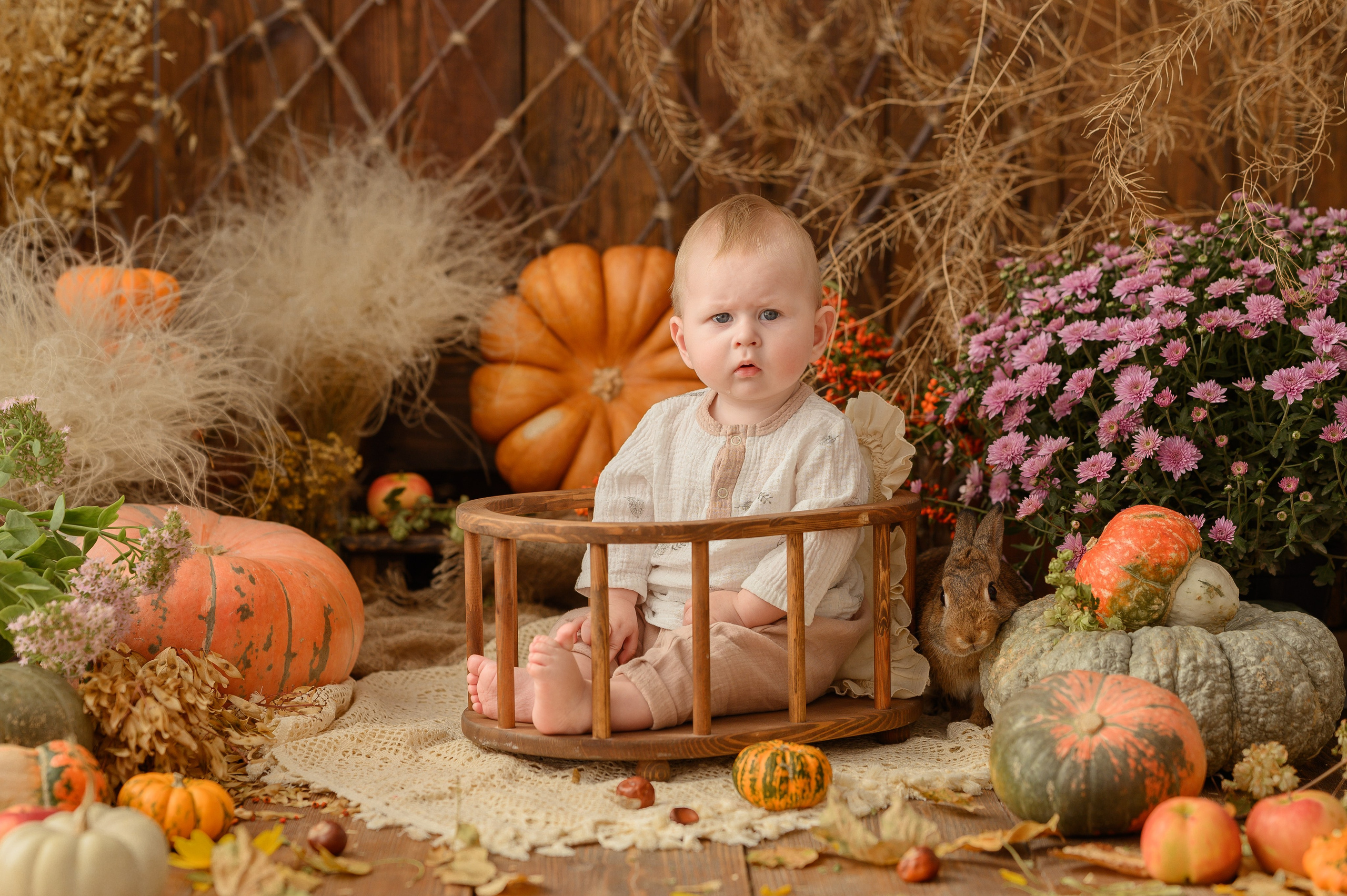 Дамирчик и кролик в тыквах. Детский и семейный фотограф Ирина Гладких