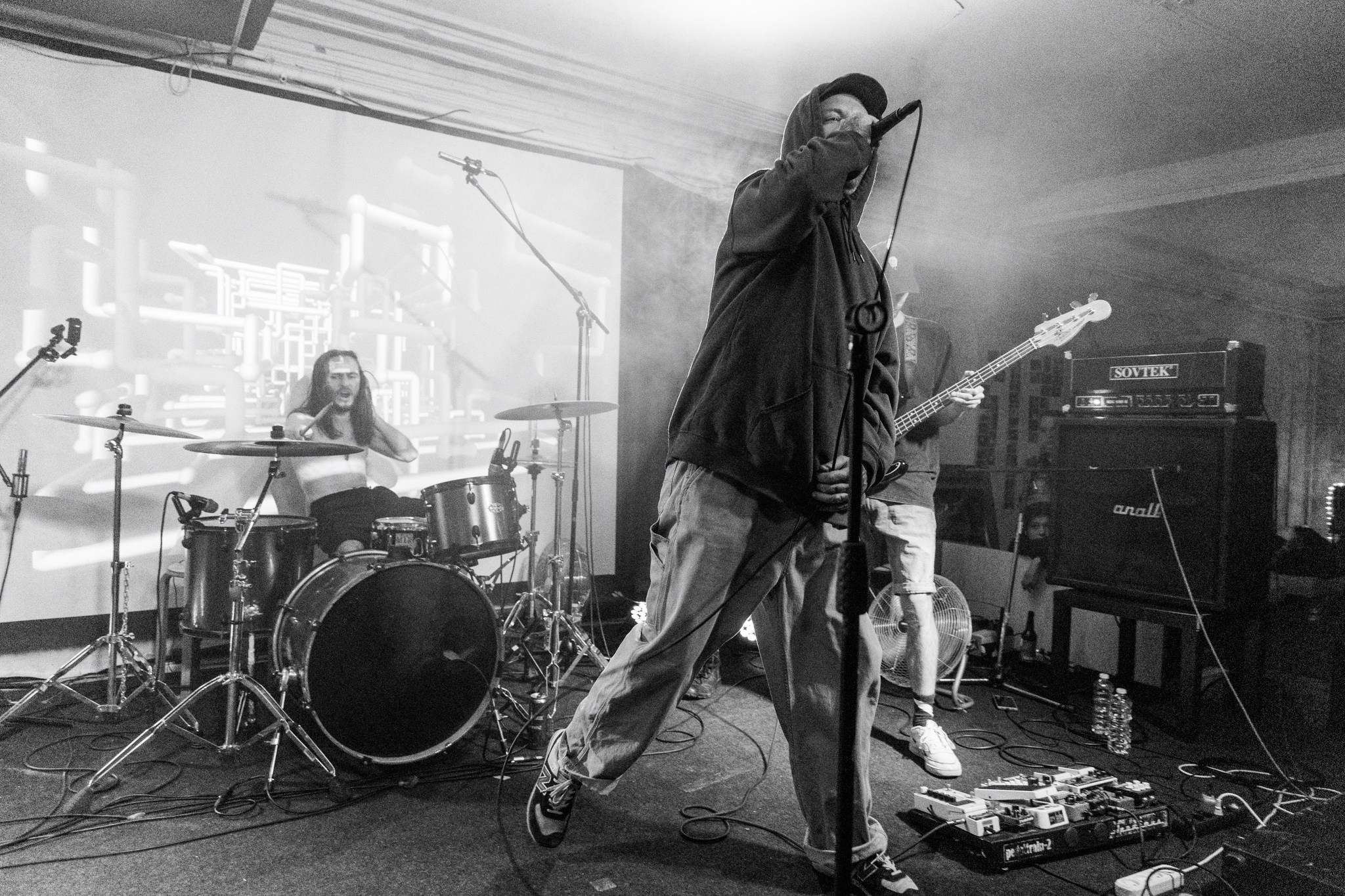 Змееед, Apodemus, 20.12.25, TAGO)))MAGO)))