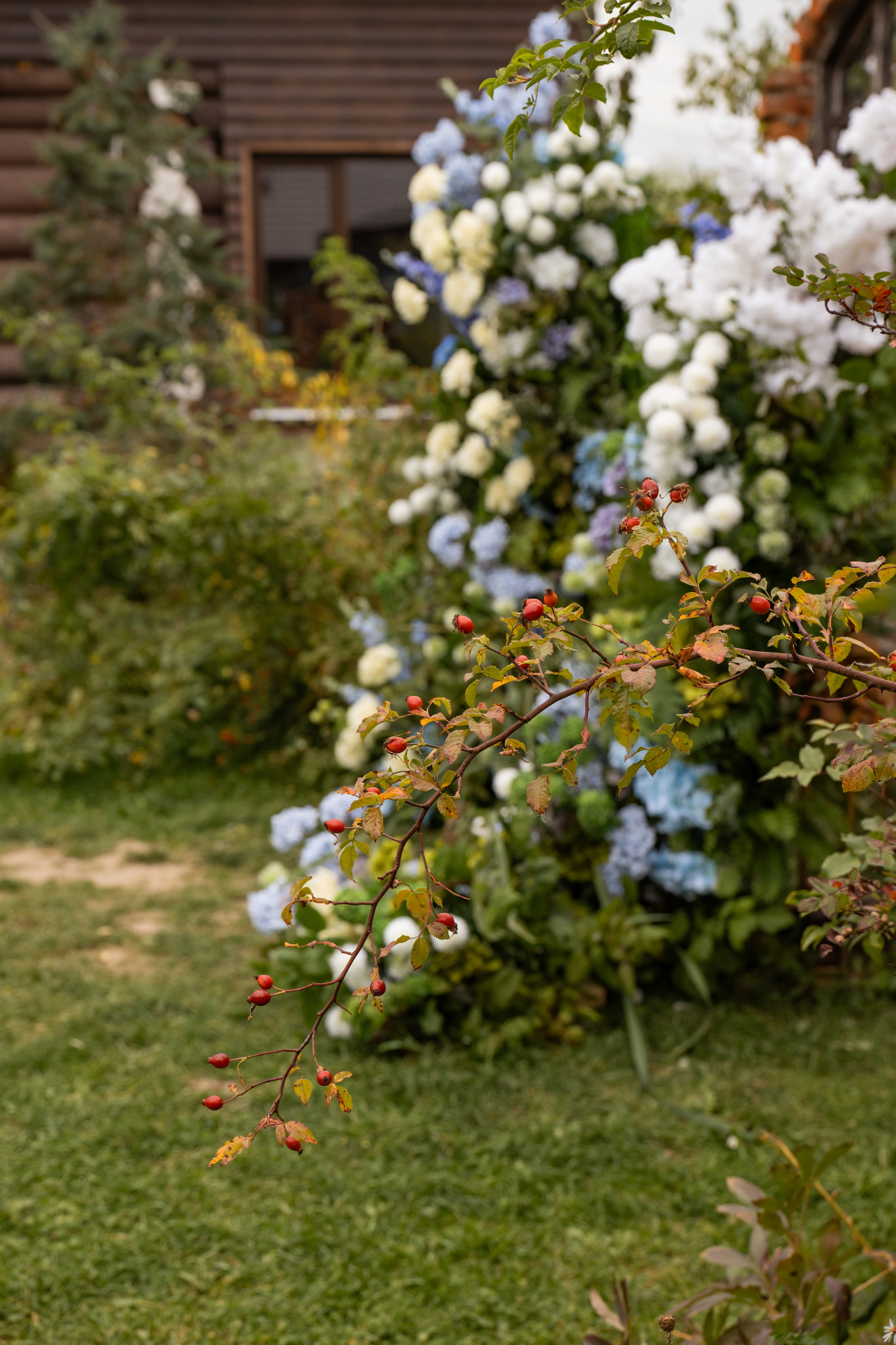 2025. Сергей и Катя. Свадебный и семейный фотограф в Москве и Европе Евгения Амелина