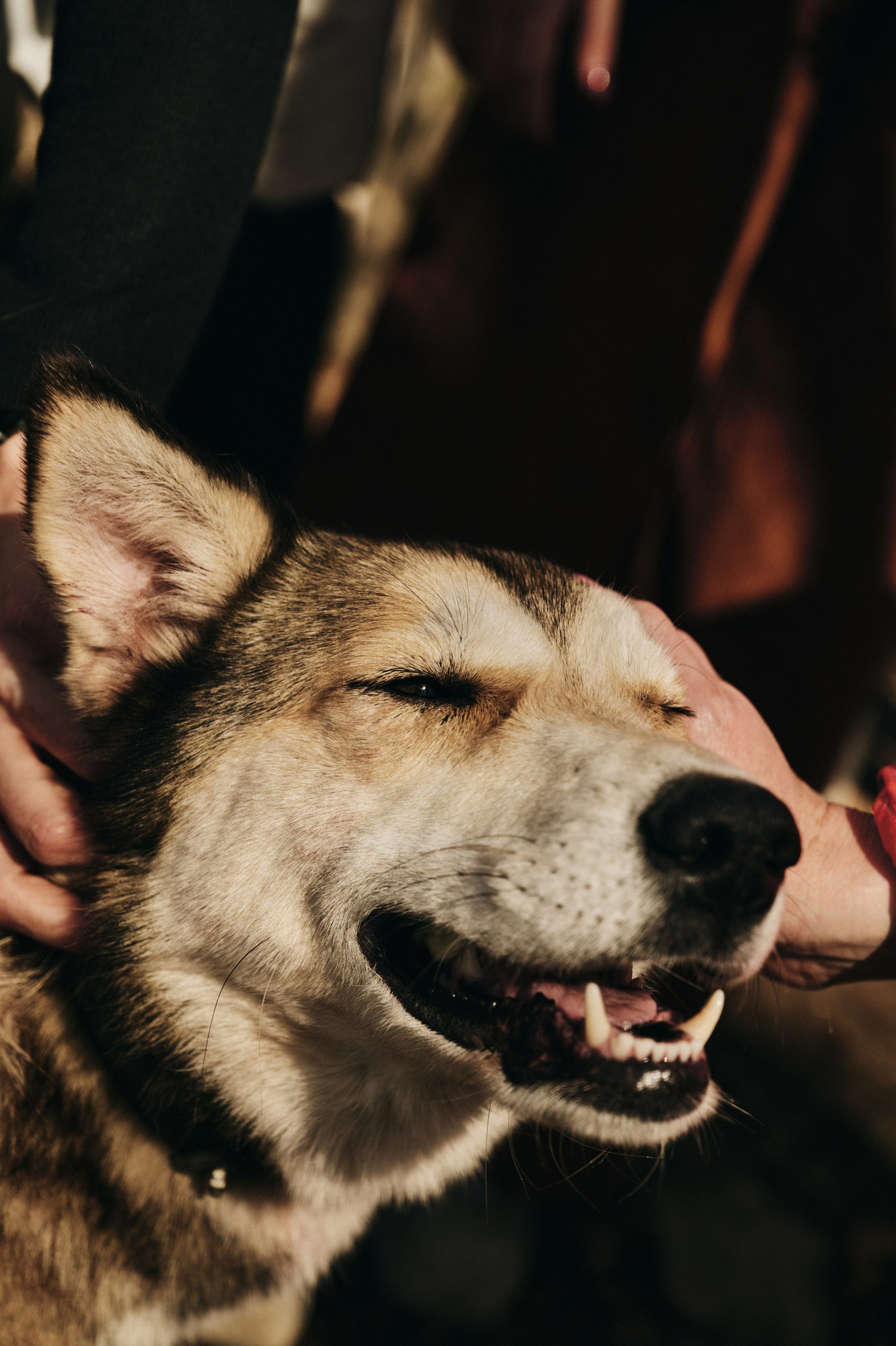 BAON x SAKHALIN. Фотограф Сурков Никита