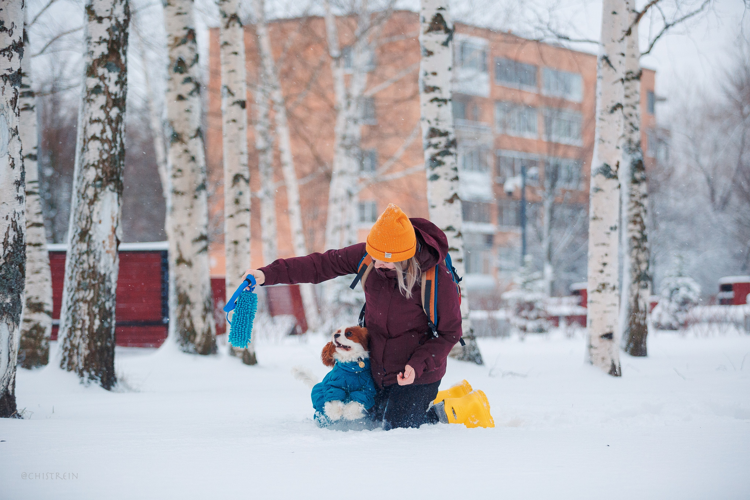 Внезапно апрельская зима. Фотограф-анималист Наталия Чистюхина в г. Сосновый Бор и ЛО