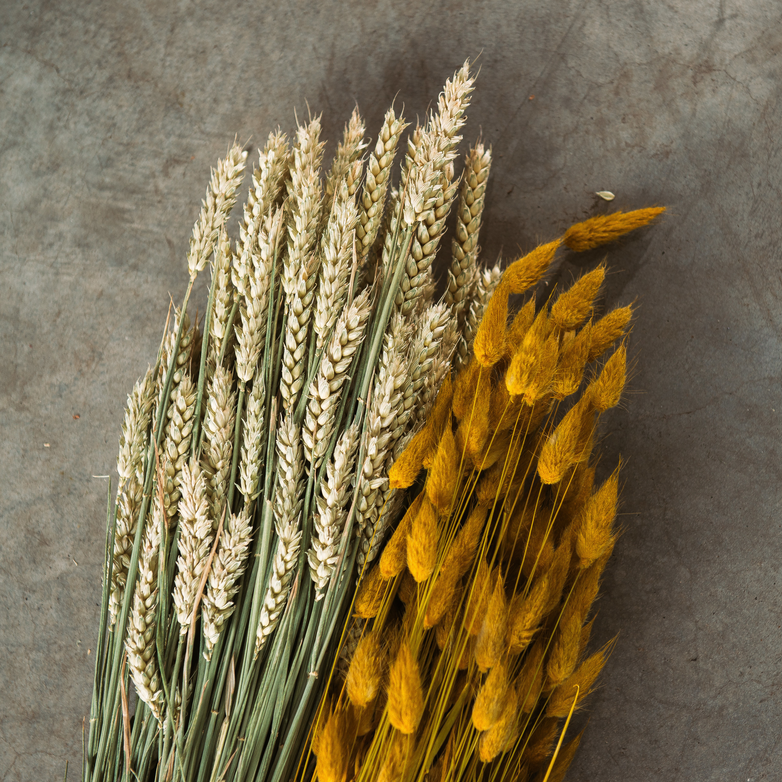 Сatalog shooting. Photo & Video production, in Bishkek, Kyrgyzstan