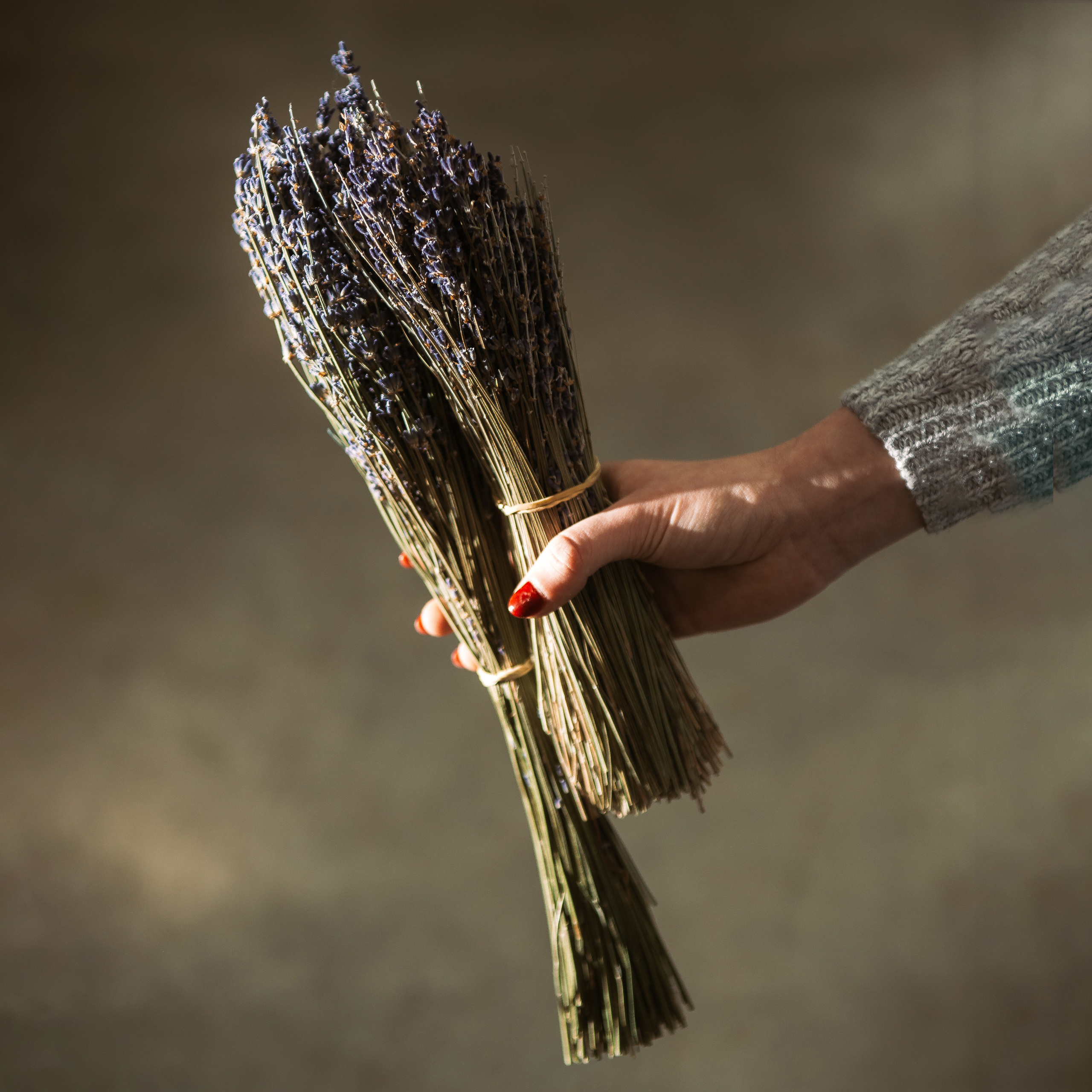 Сatalog shooting. Photo & Video production, in Bishkek, Kyrgyzstan