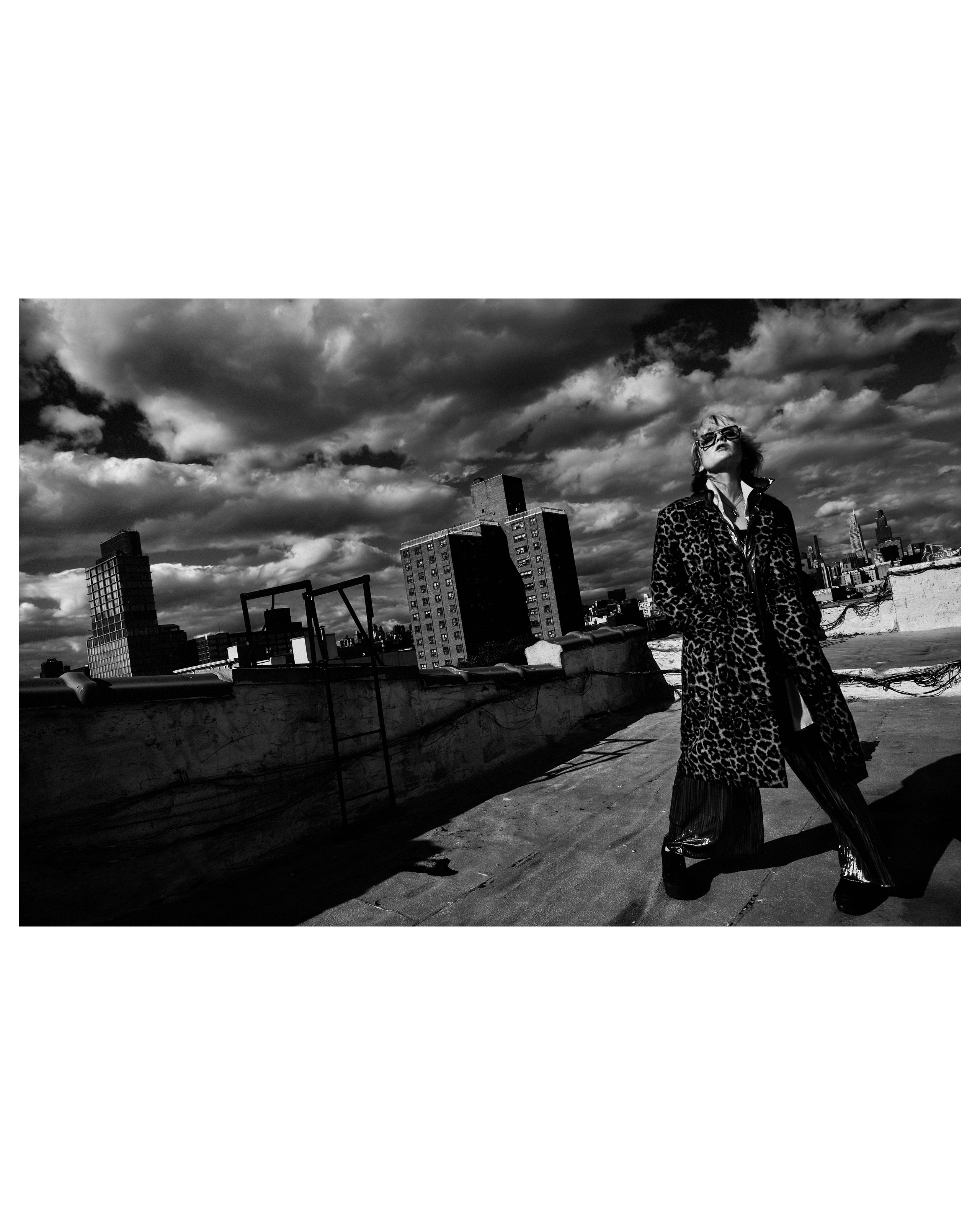 LIZ KRESCH. WOMEN OF NEW YORK