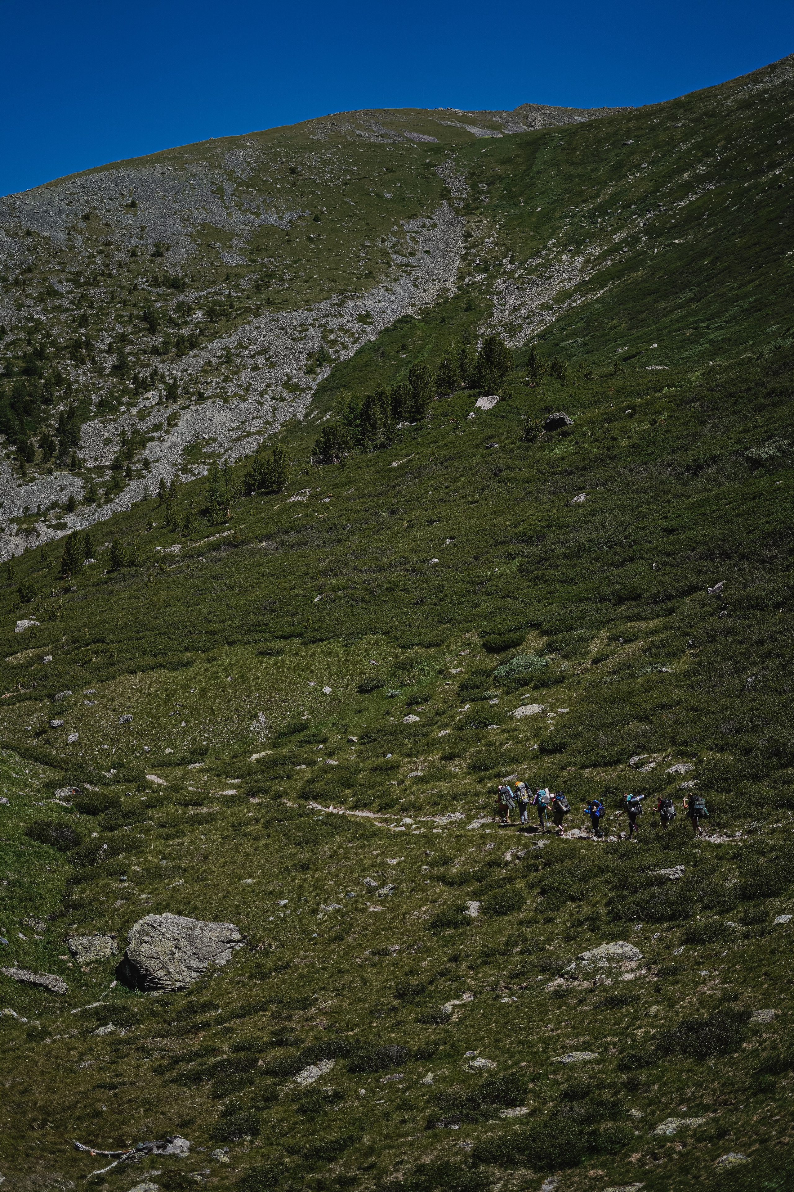 Алтай, поход к Белухе 2023. Фотограф Ольга Пучкова