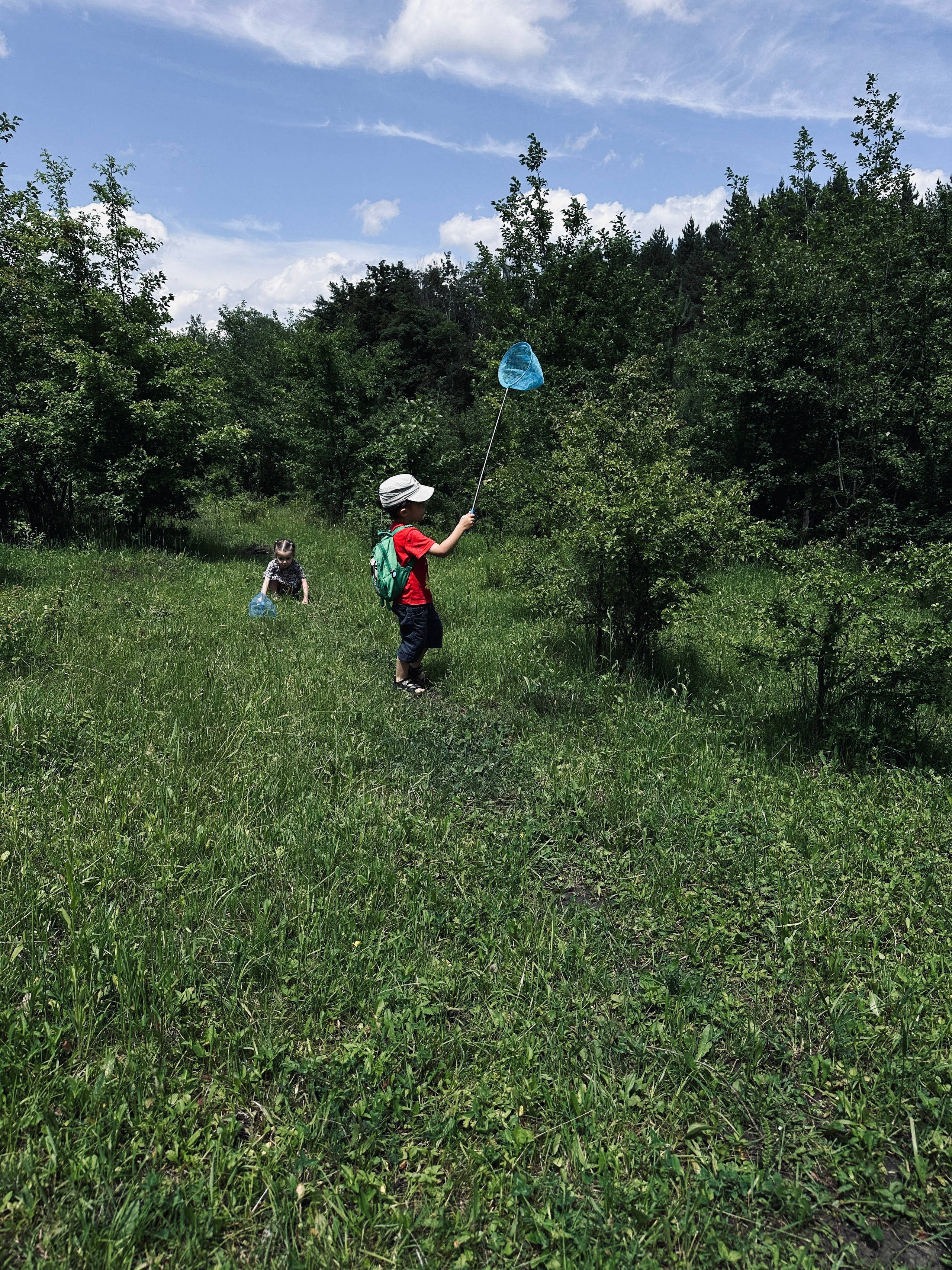 Дети. Смотри, красота!