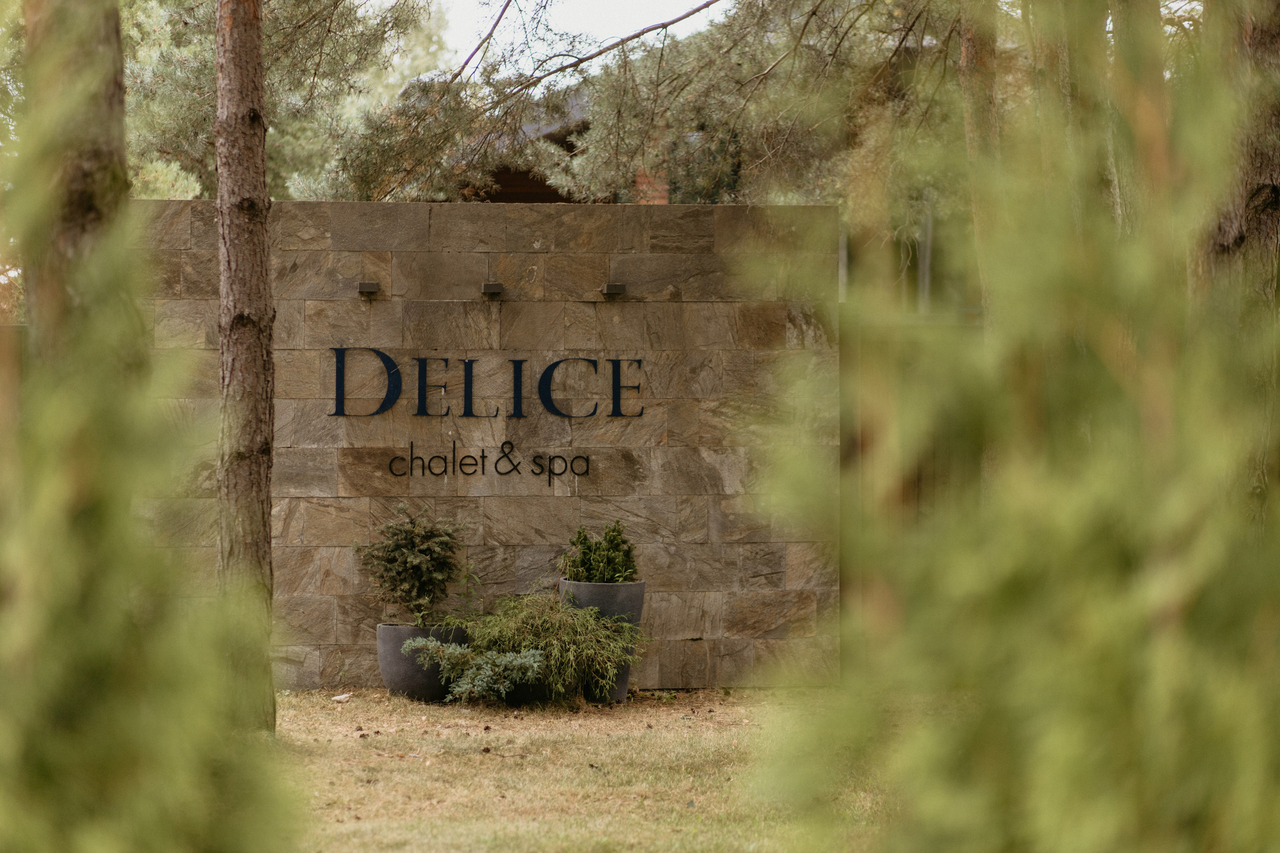 Сева & Таня | DELICE CHALET. Свадебный фотограф в Минске Владислав Бабич