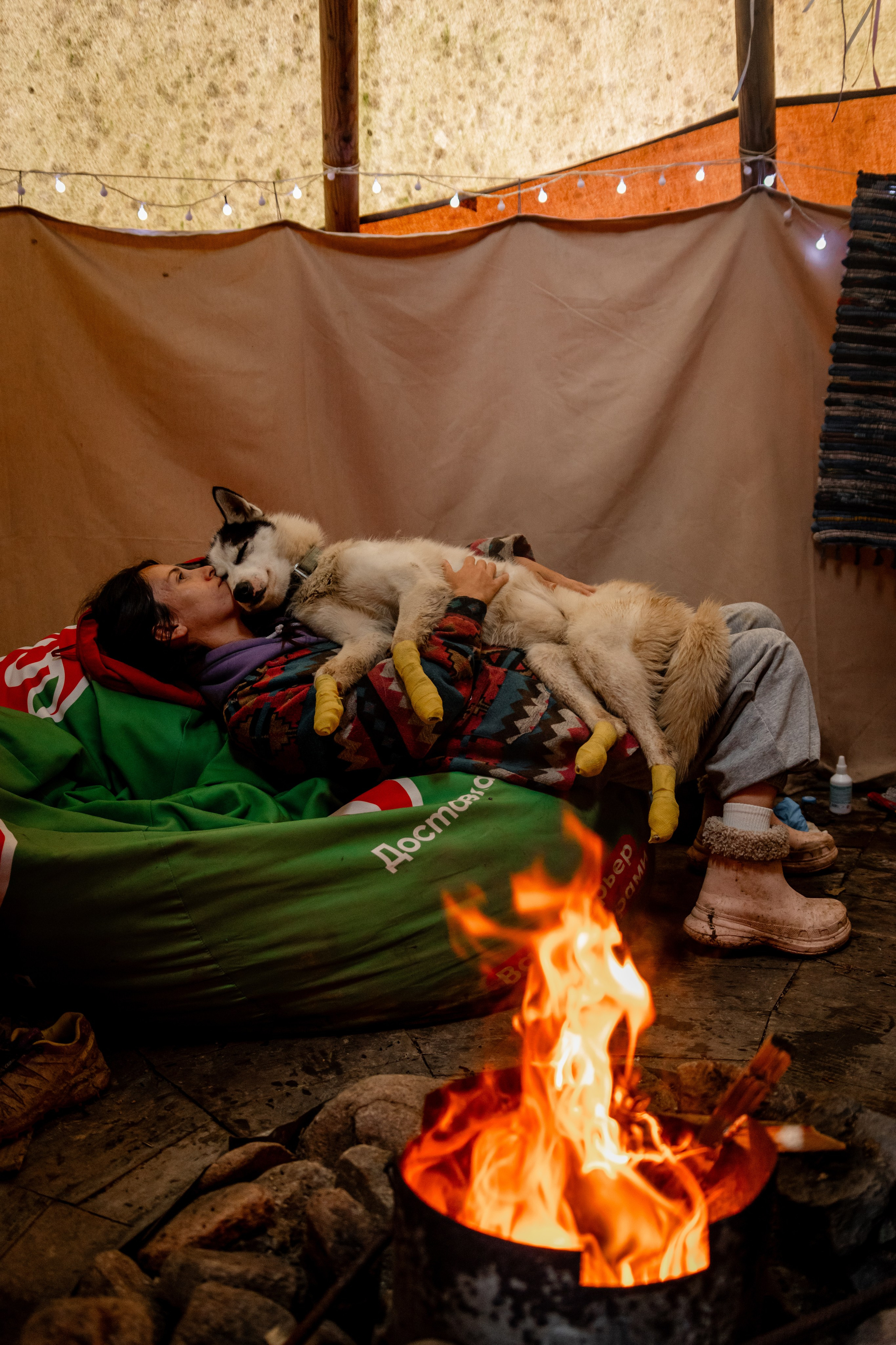 Дог-треккинг