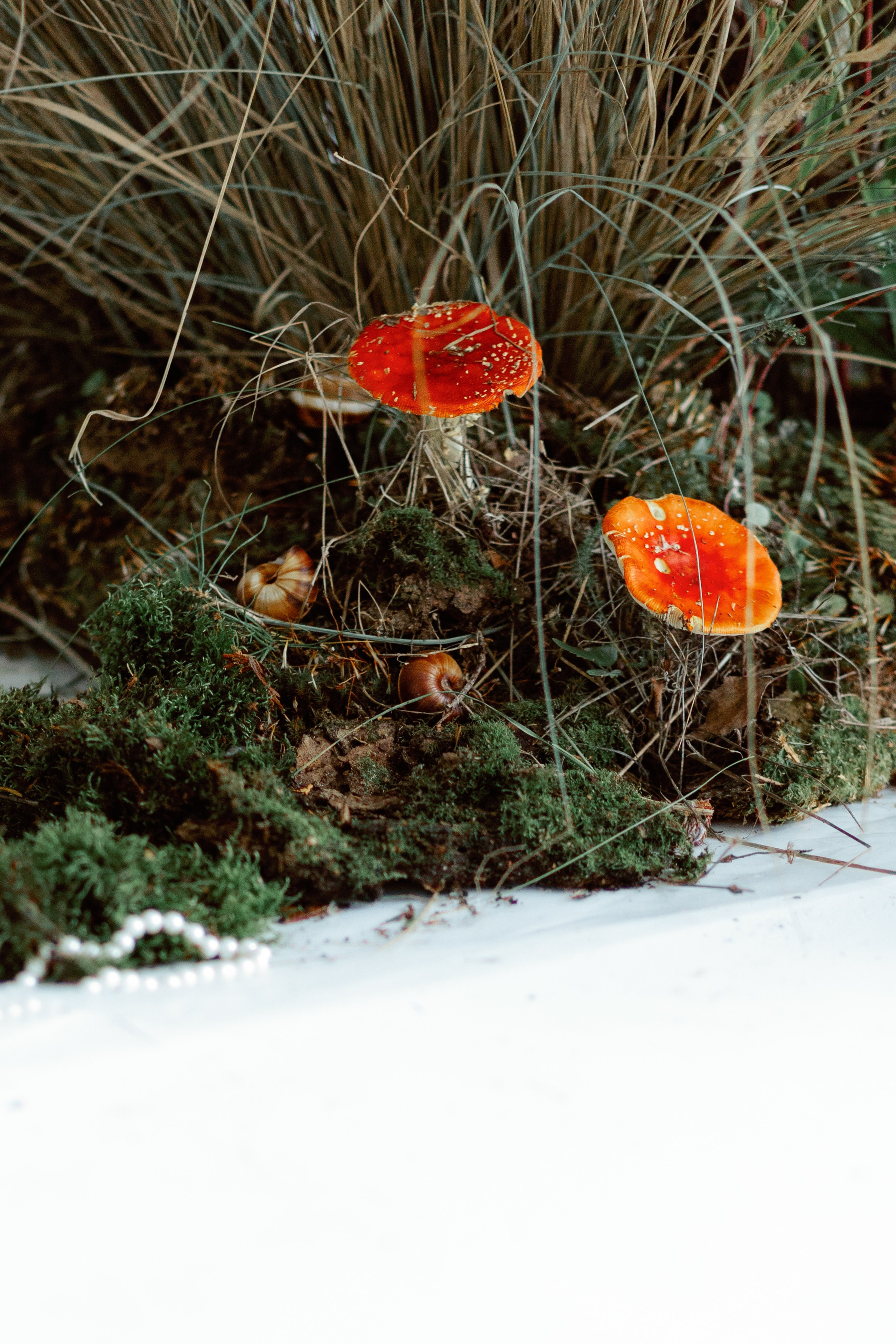 Maria. Фотограф Алекс Май