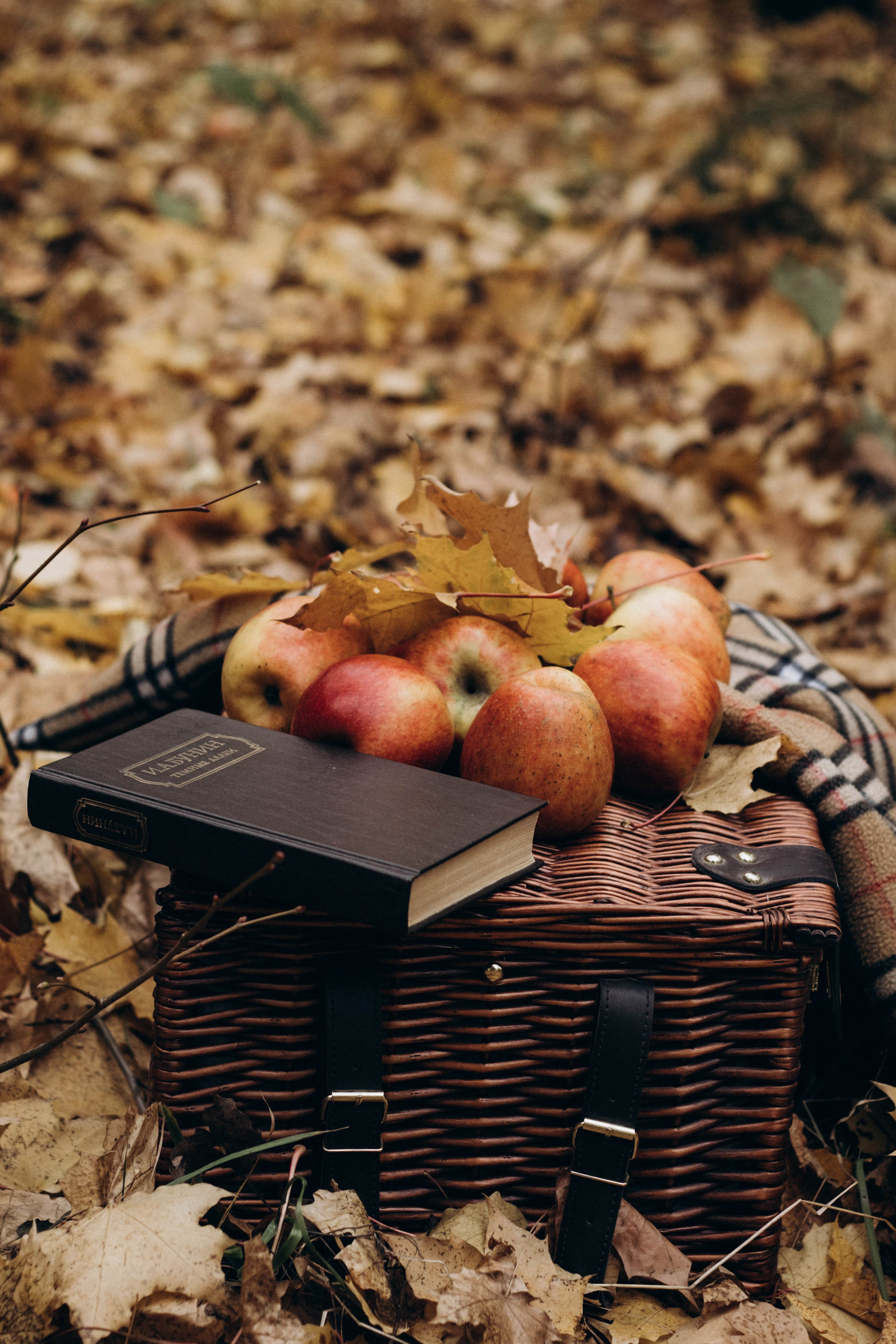 Подружки. Семейный и детский лайфстайл фотограф Юлиана Дрот Красноярск