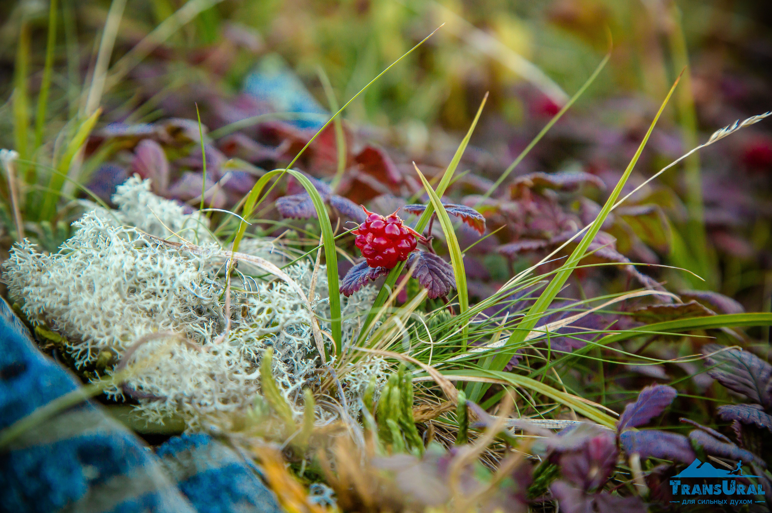 Полярный Урал. Авторские туры с профессиональным фотографом