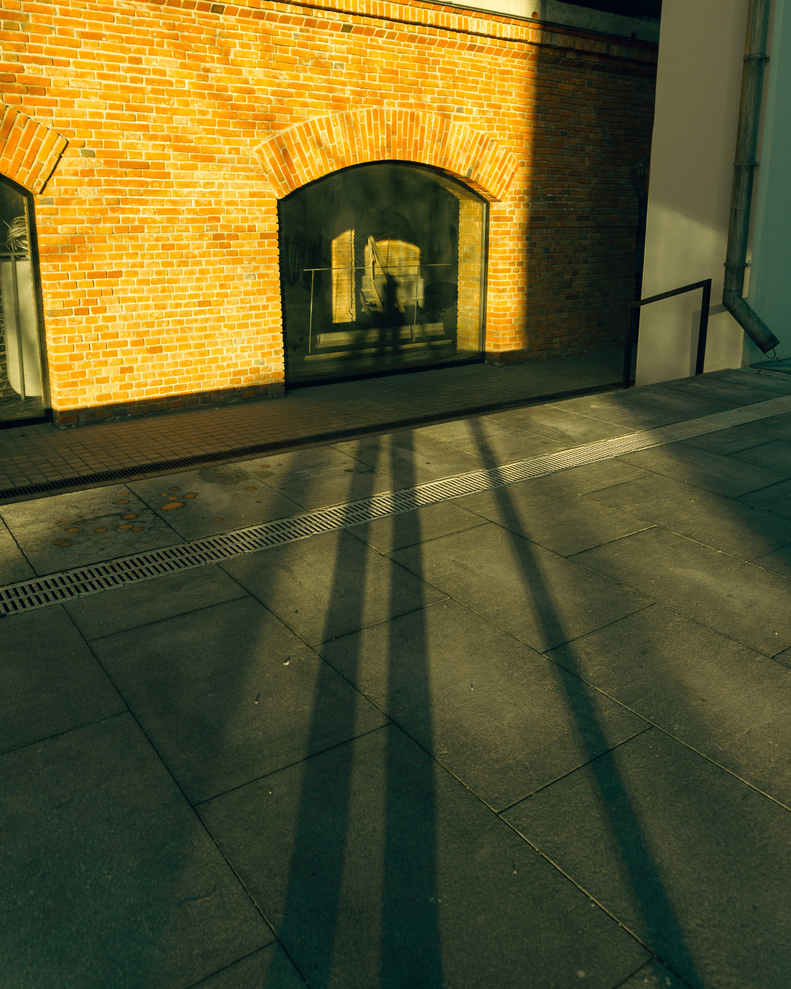 Парк Горького и около. Алексей Никифоров свадебный и семейный фотограф Москва, Химки