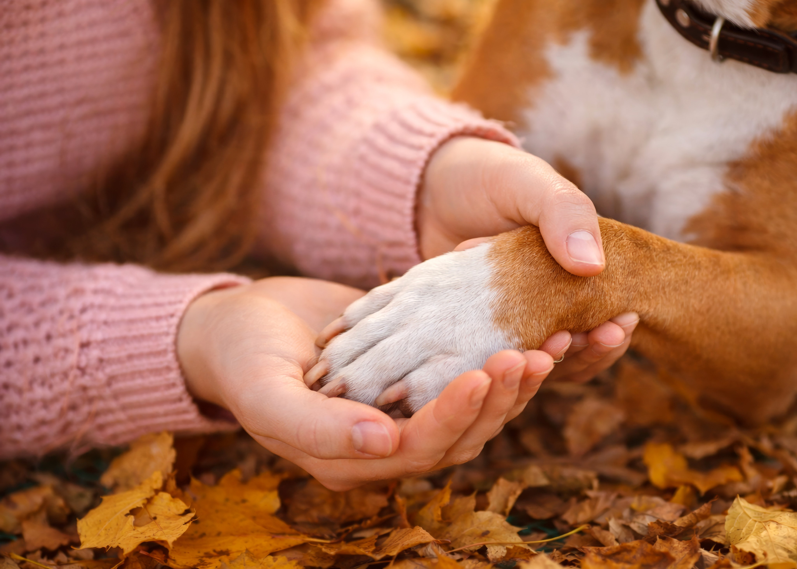«Тёплая осень детства Арины». Семейный и детский фотограф в Москве Юлия