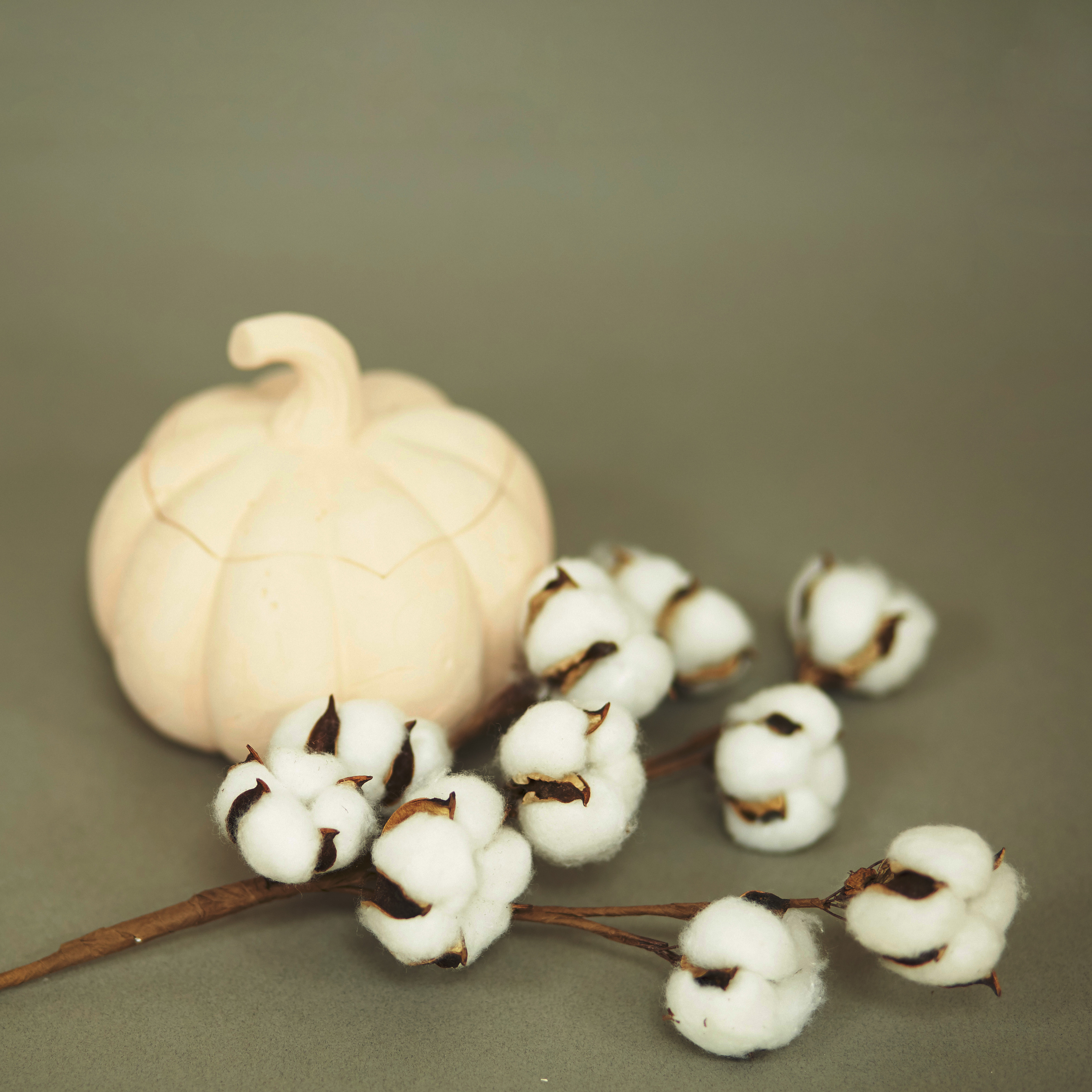 Кейс для Татьяны. Контент фотограф Мясникова Наталья Абакан/Минусинск